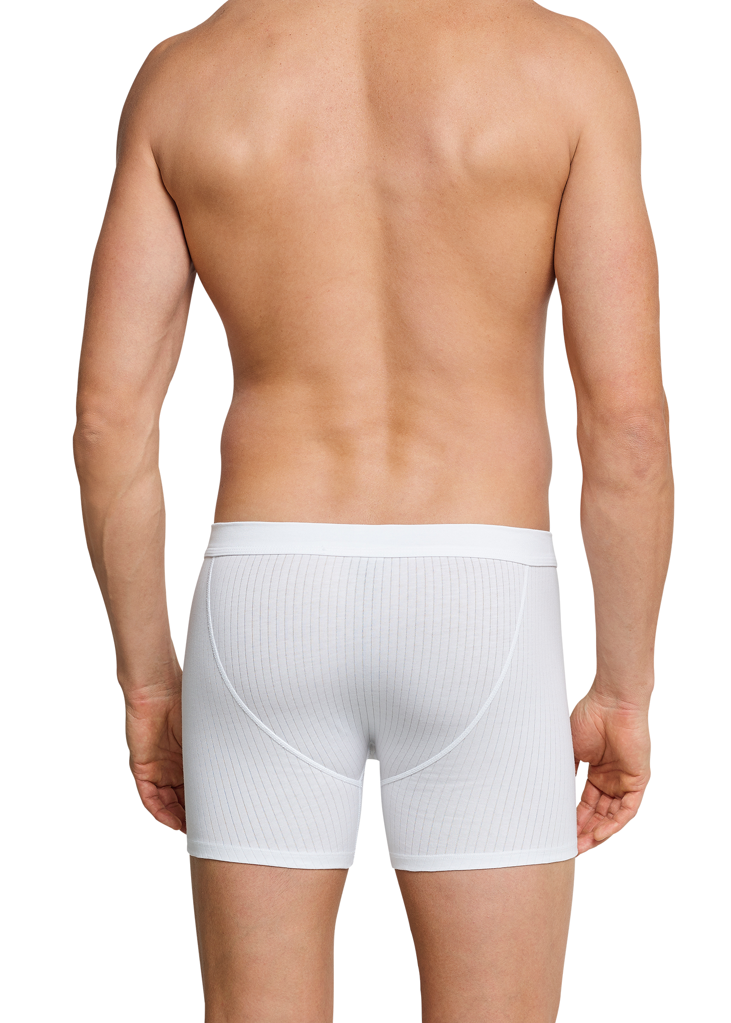 103399-100_back.png