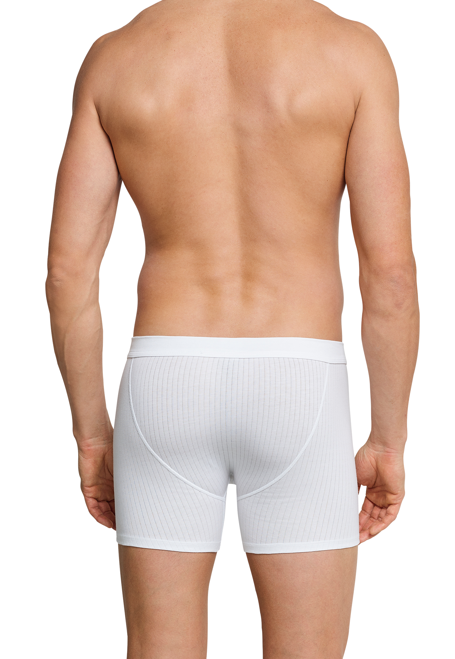 103399-100_back.png