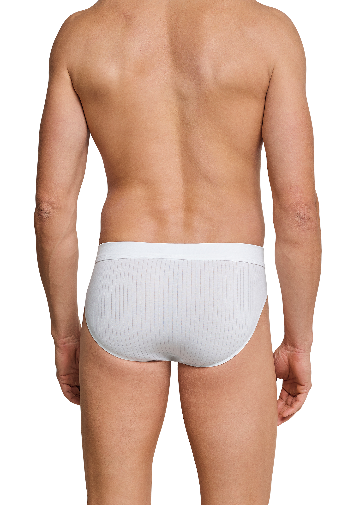 105984-100_back.png