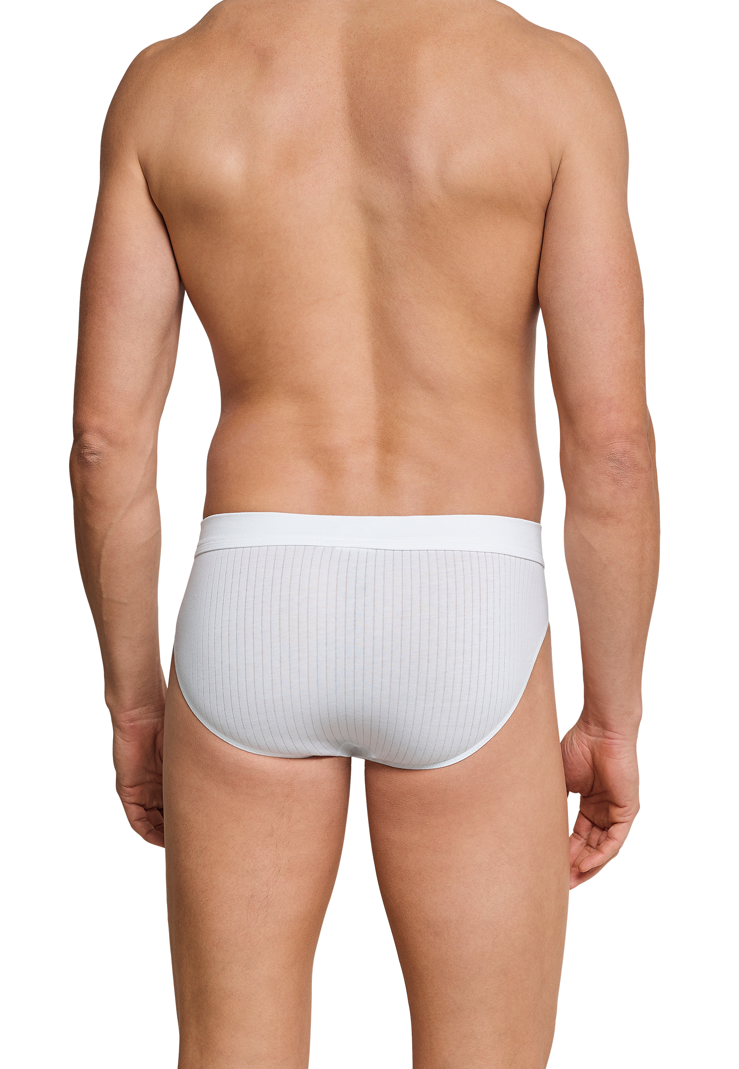 105984-100_back.png