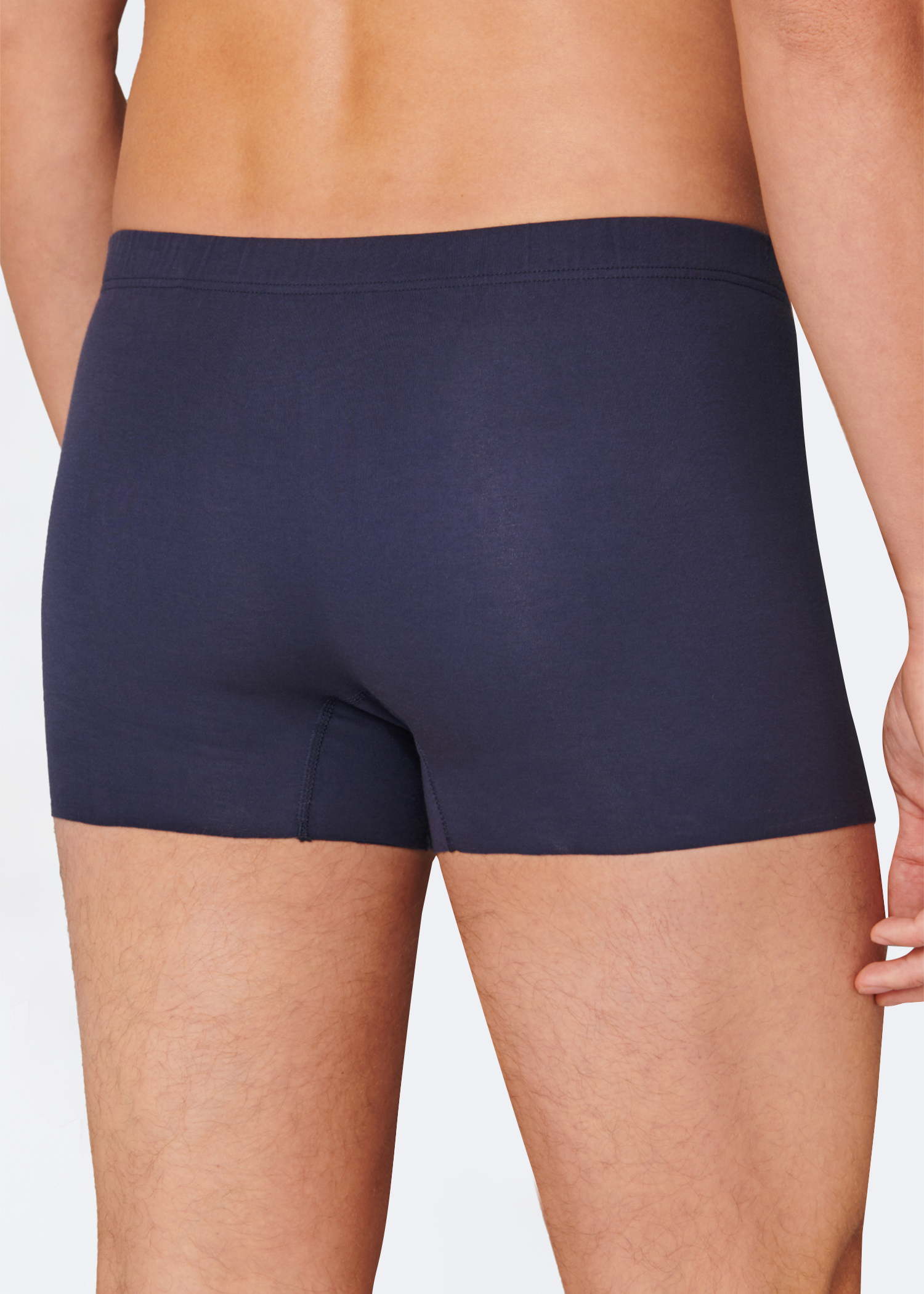 173253-800_back.png