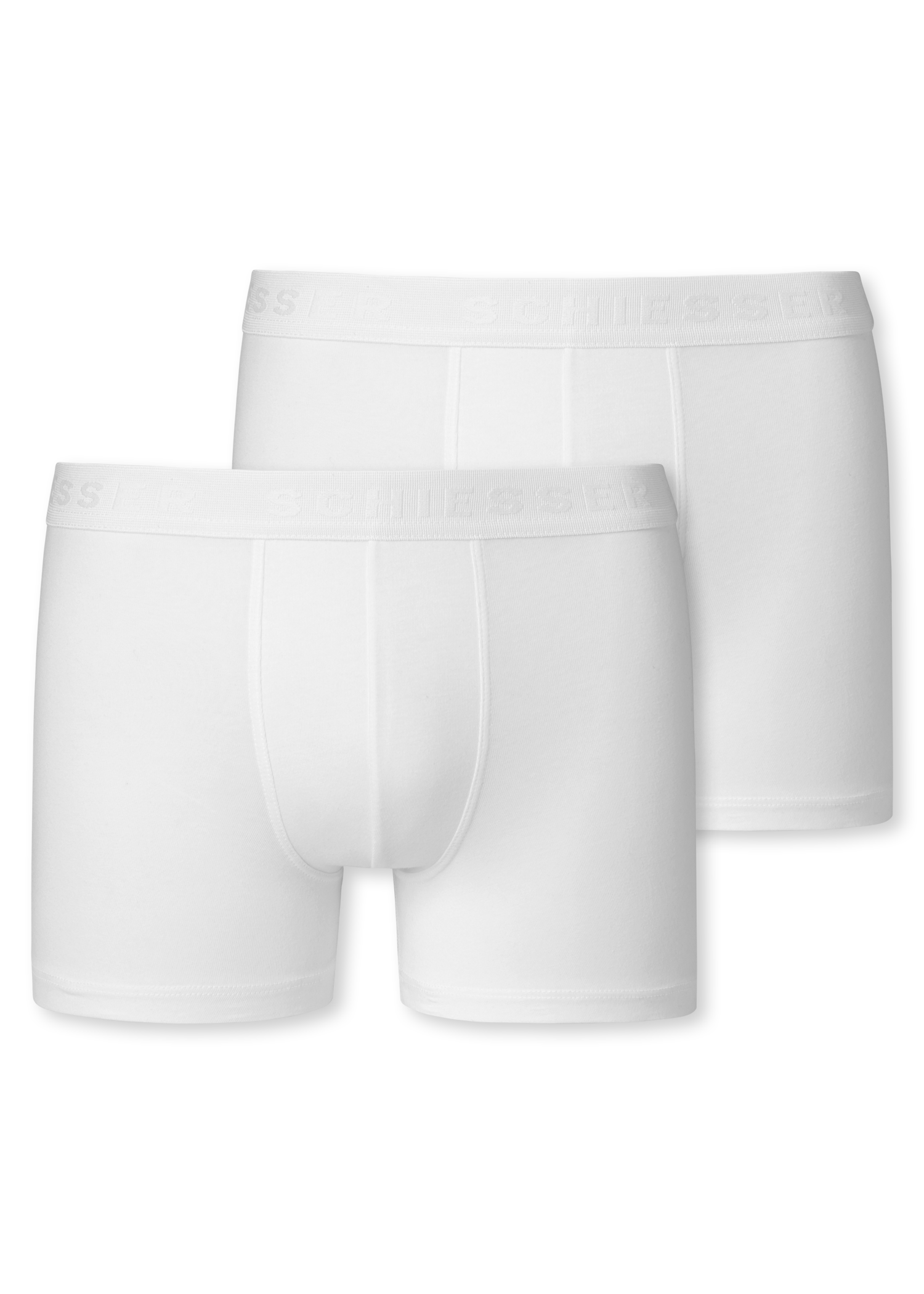 173534-100_detail1.png