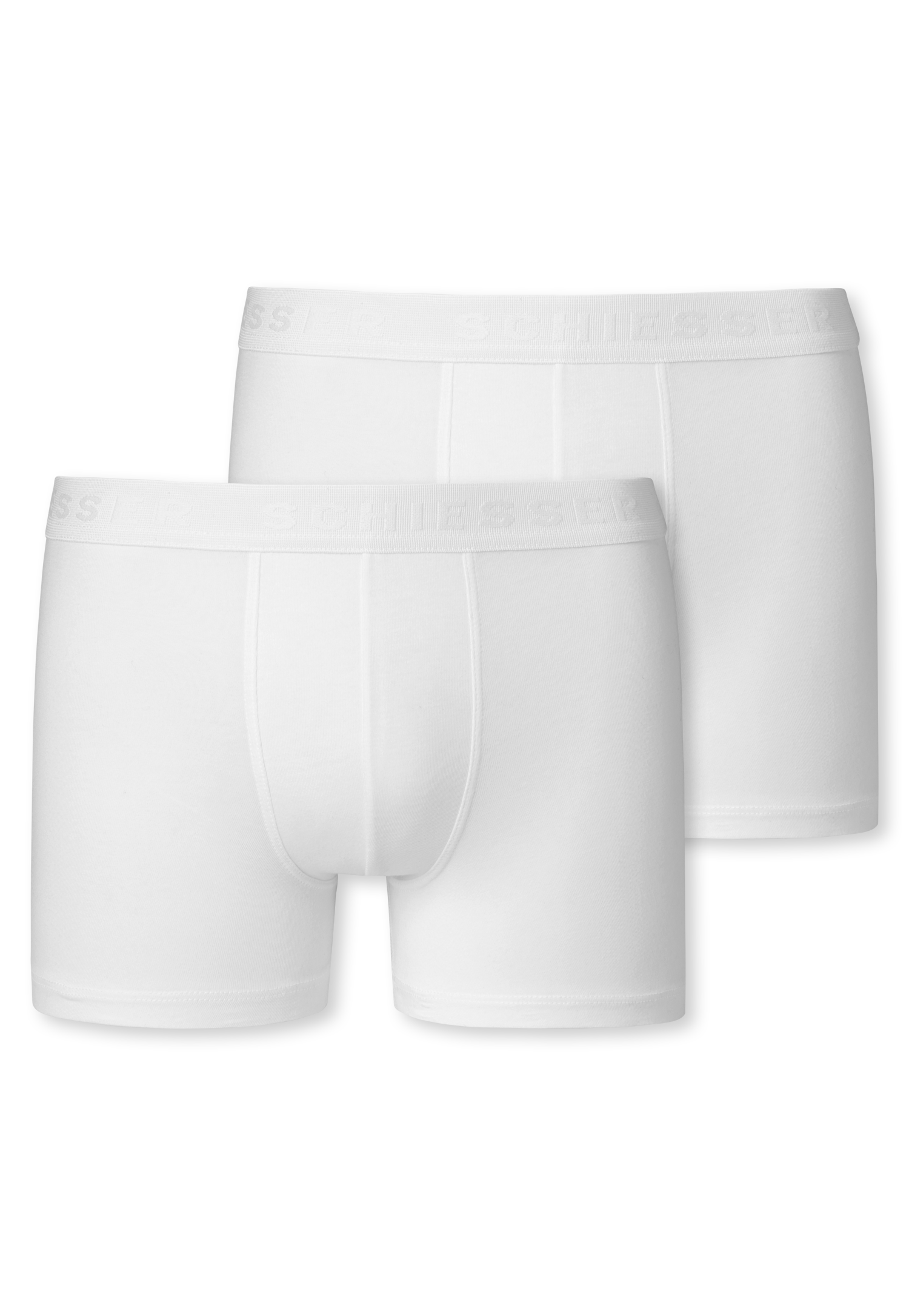 173534-100_detail1.png