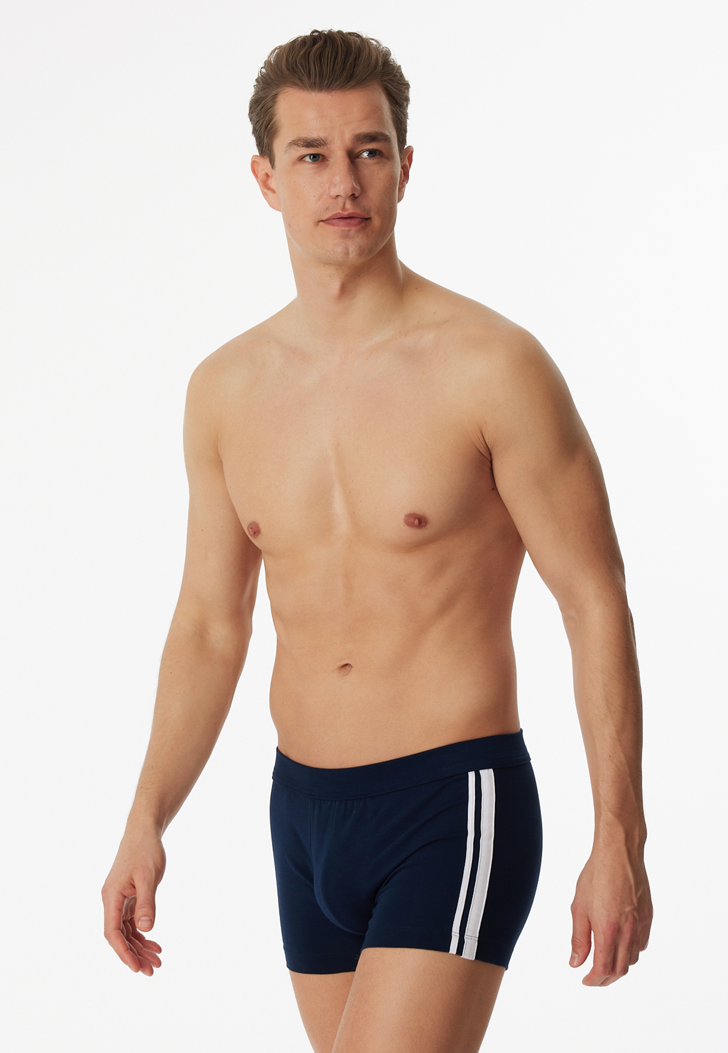 173816-803_detail1.png