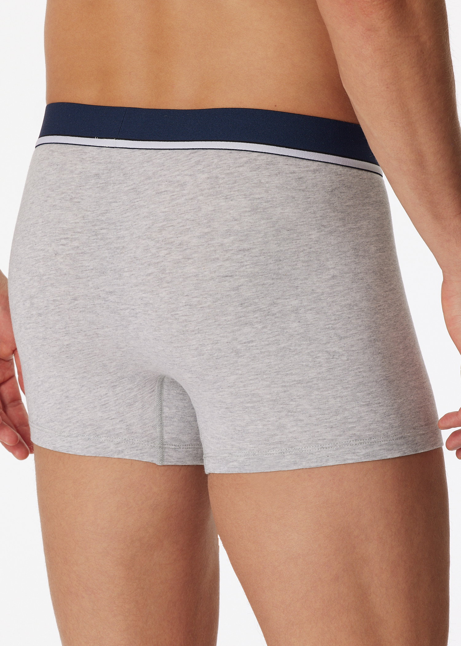 173986-909_back.png