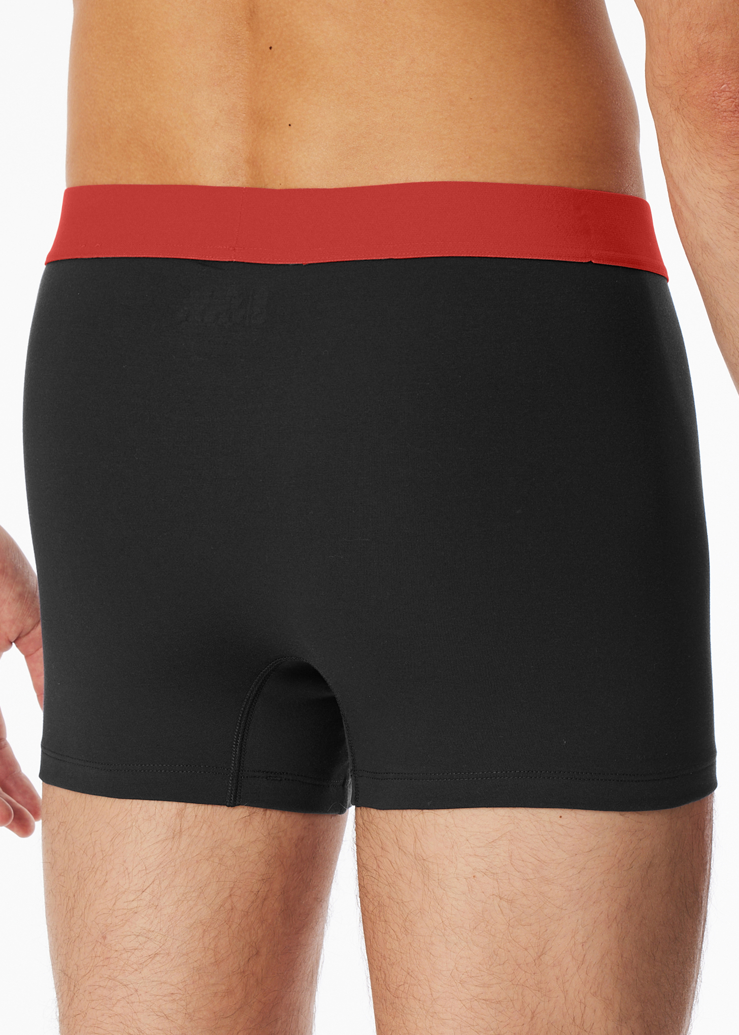 180194-924_back.png
