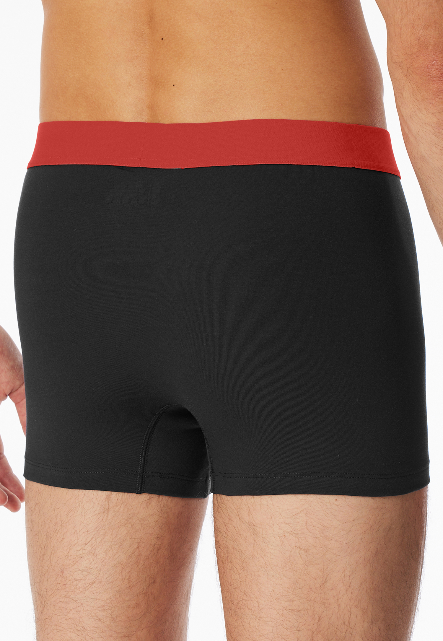 180194-924_back.png