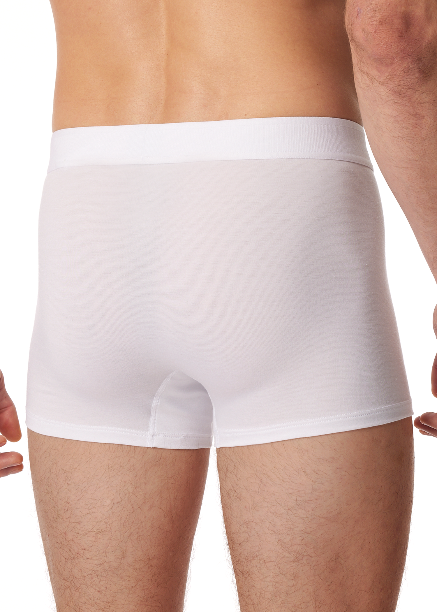 181529-100_back.png