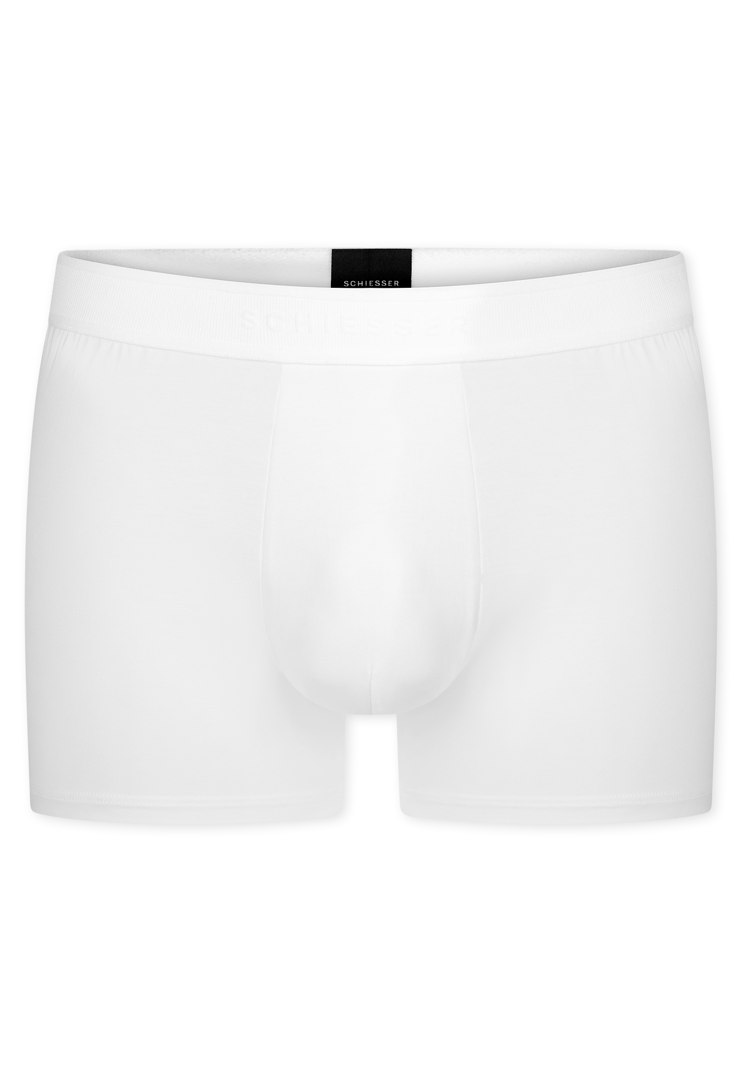 181529-100_detail1.png