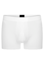 181529-100_detail1.png