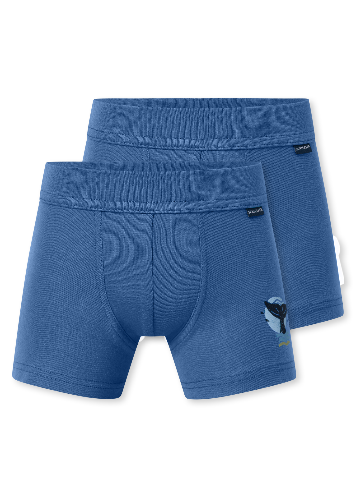 181845-920_detail1.png