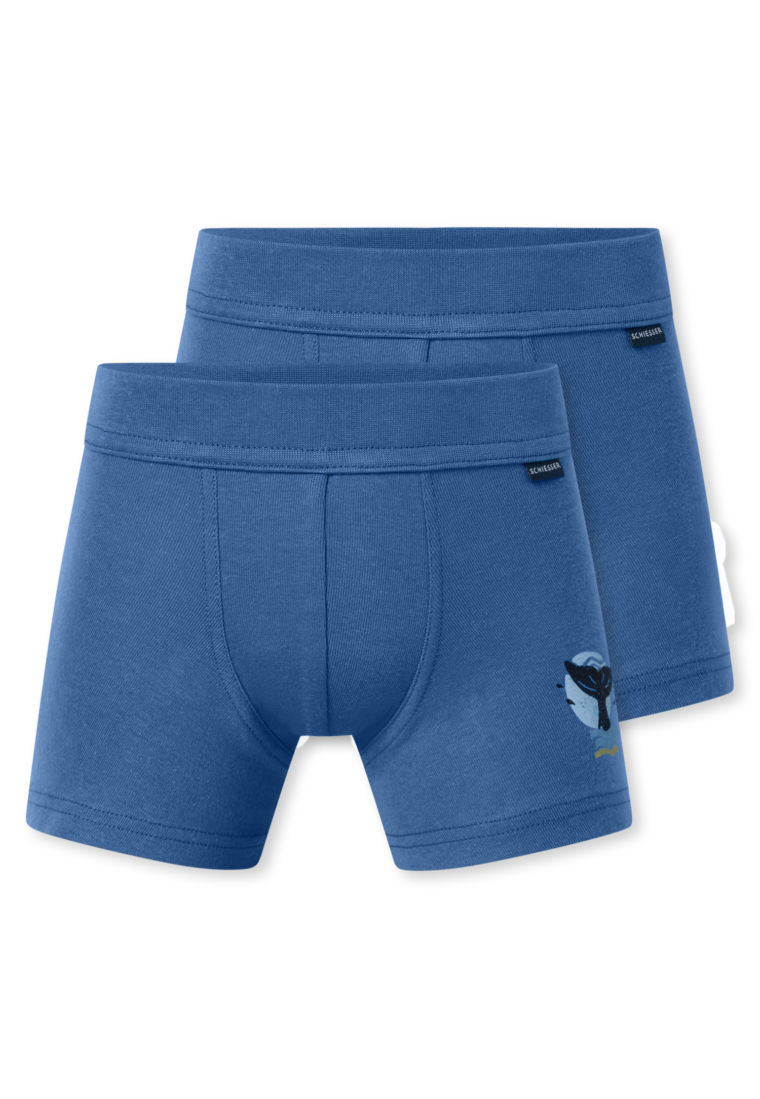 181845-920_detail1.png