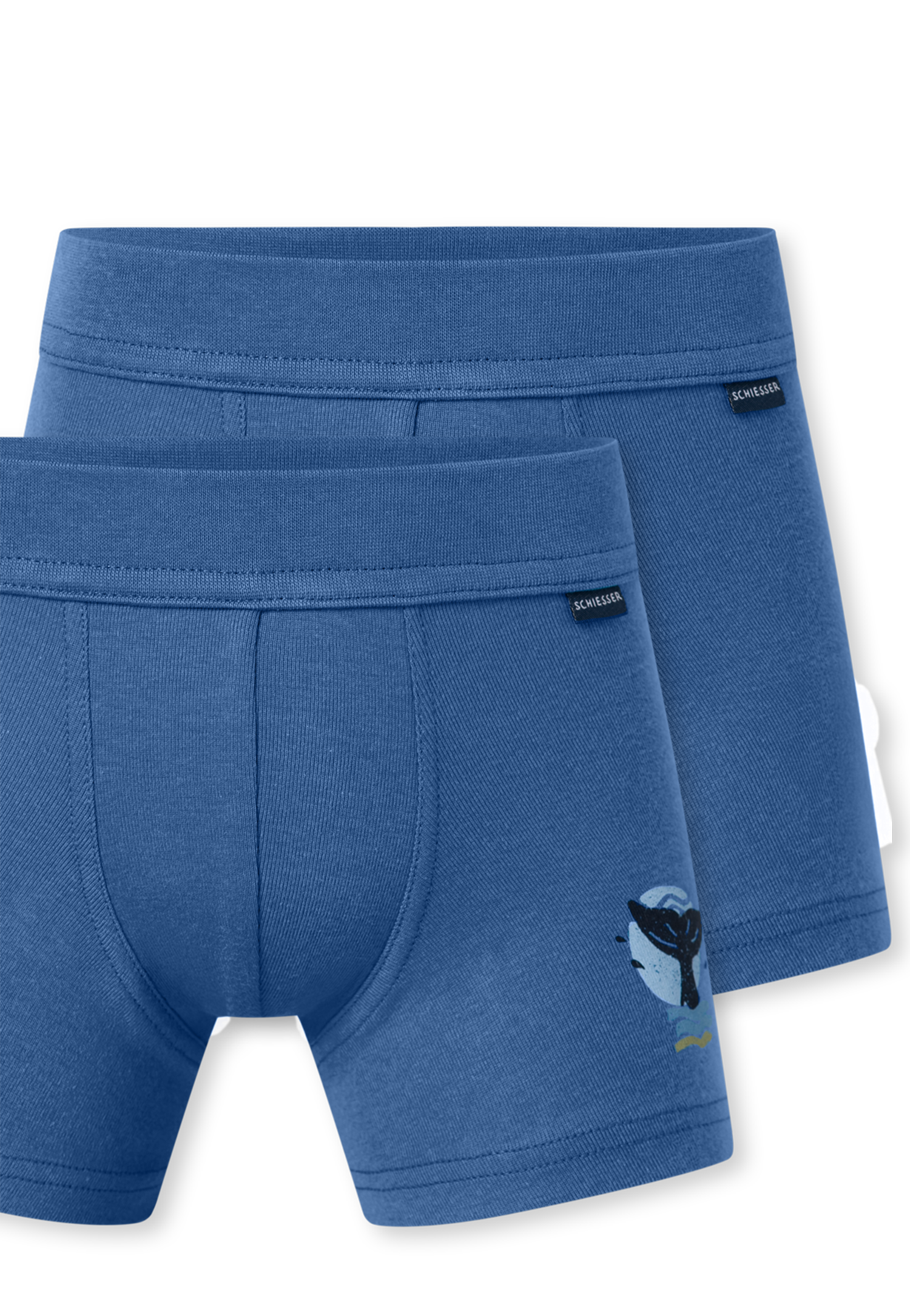 181845-920_detail4.png