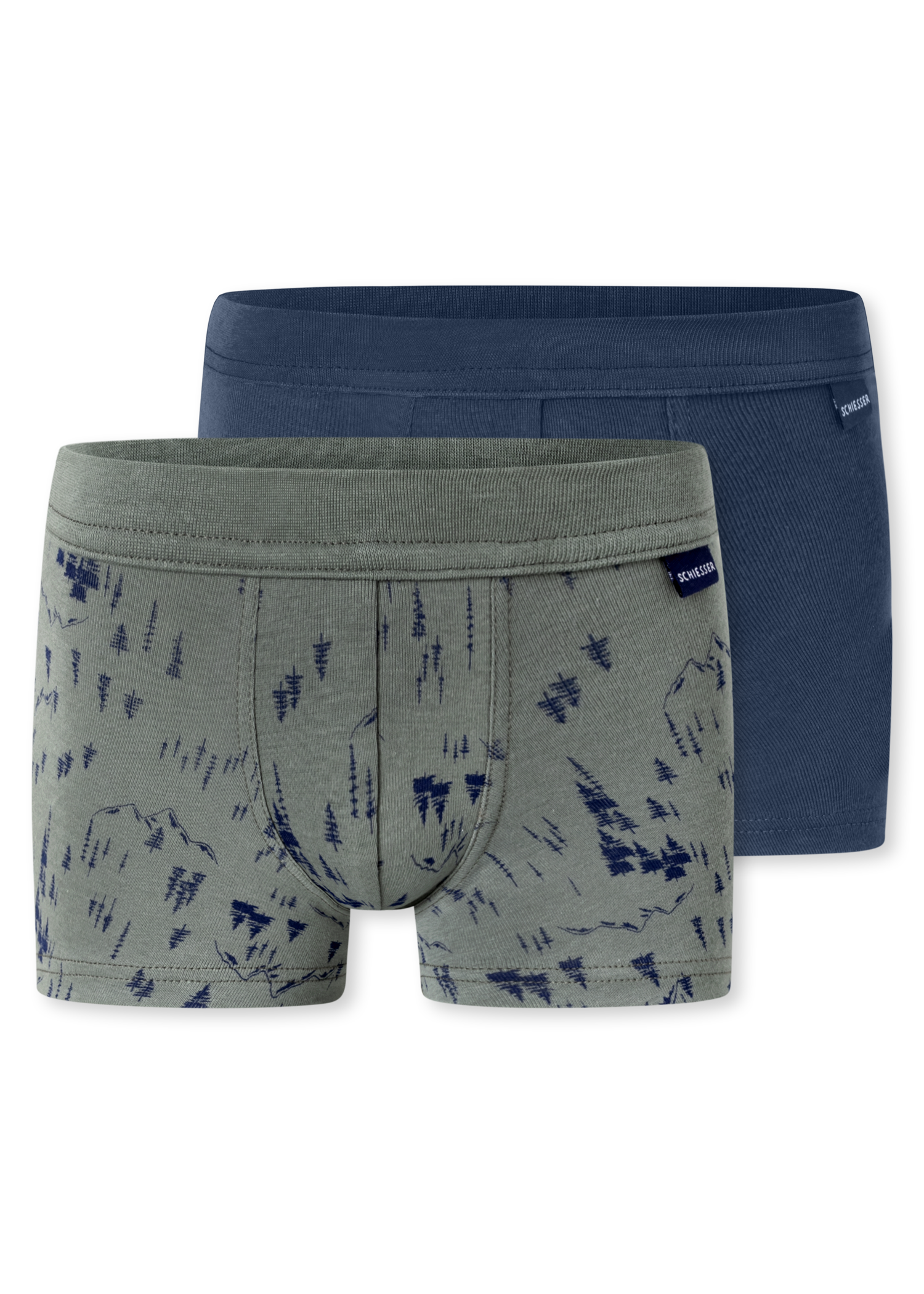 181845-926_detail1.png