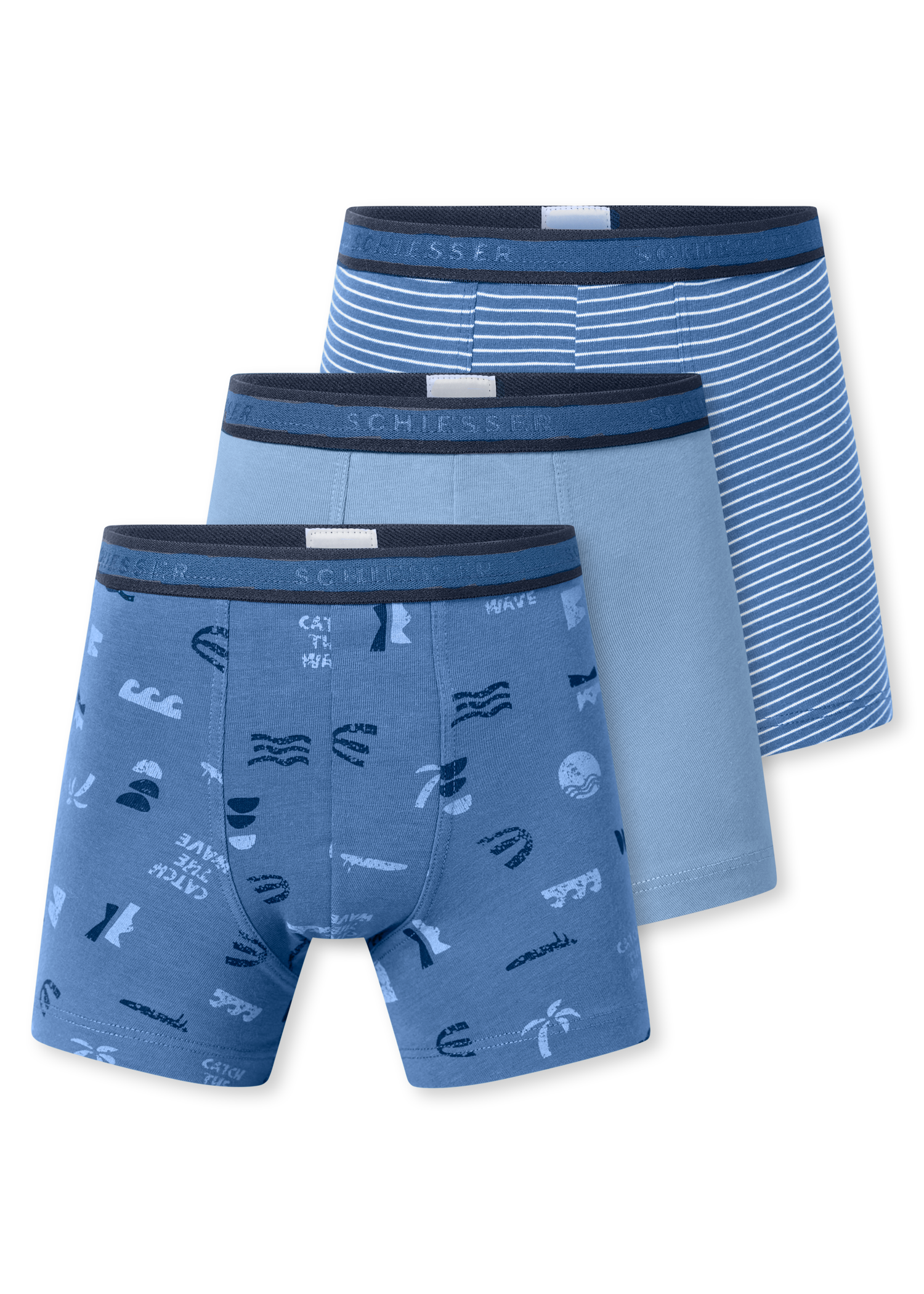181846-921_detail1.png
