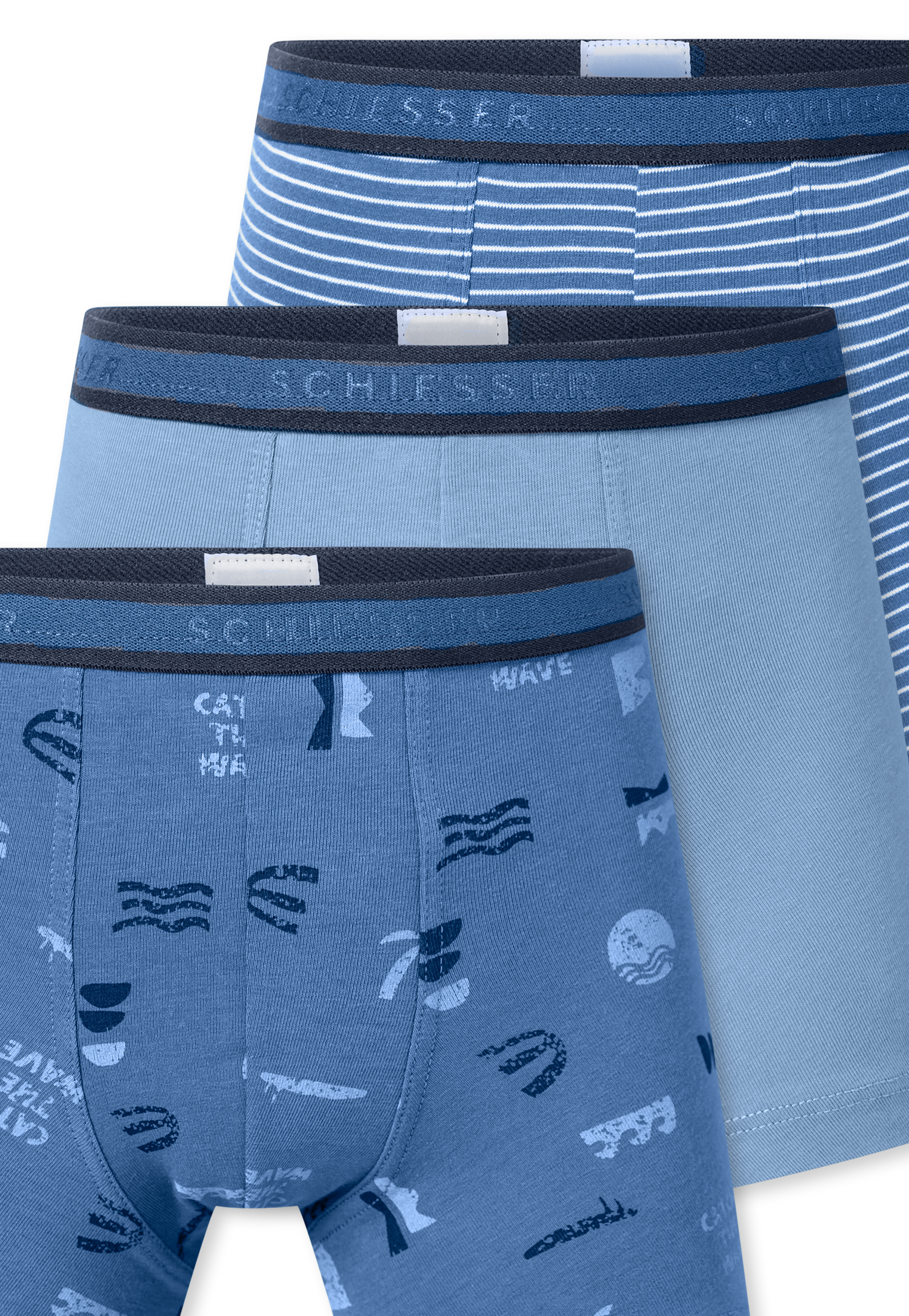 181846-921_detail3.png
