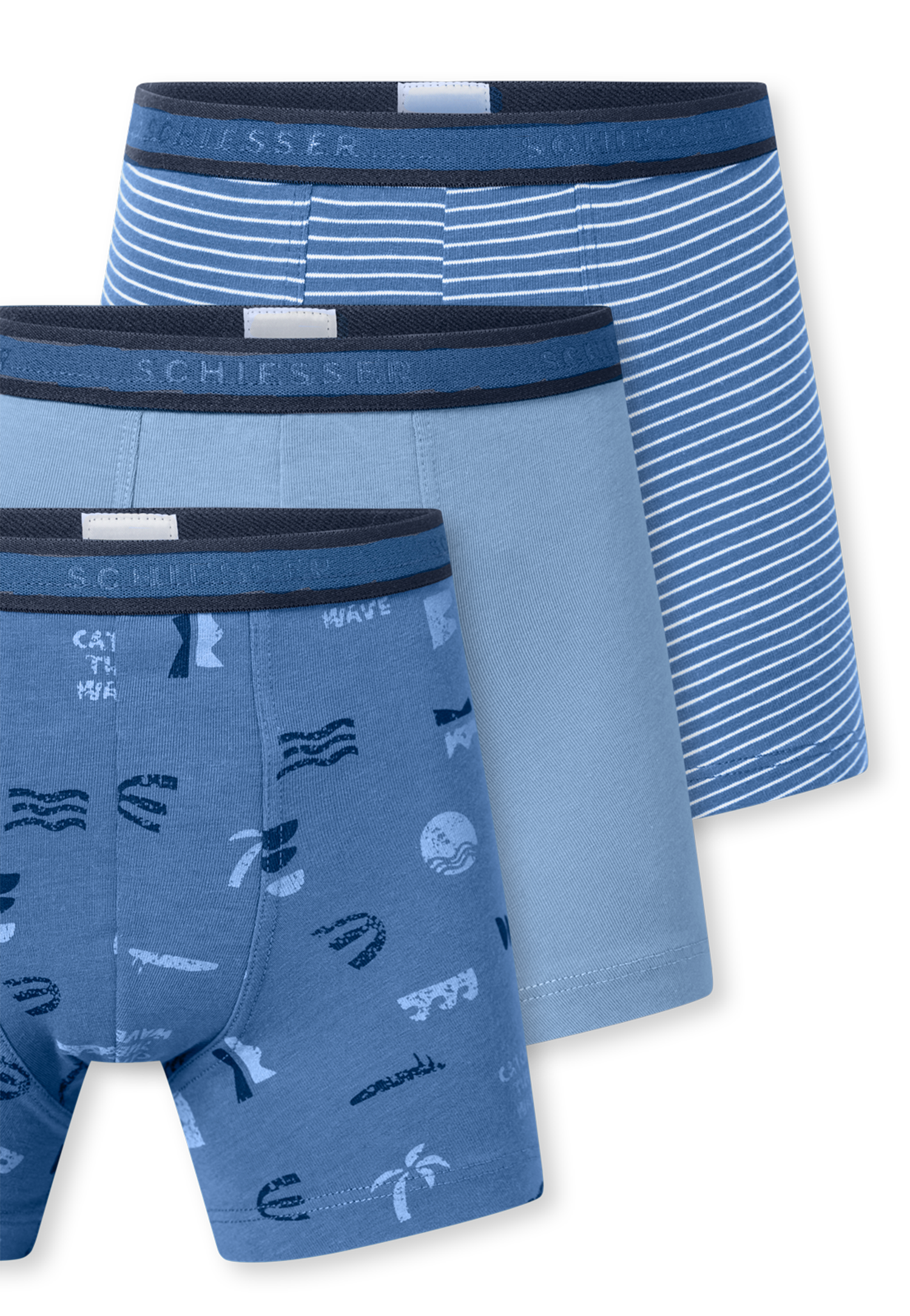 181846-921_detail4.png