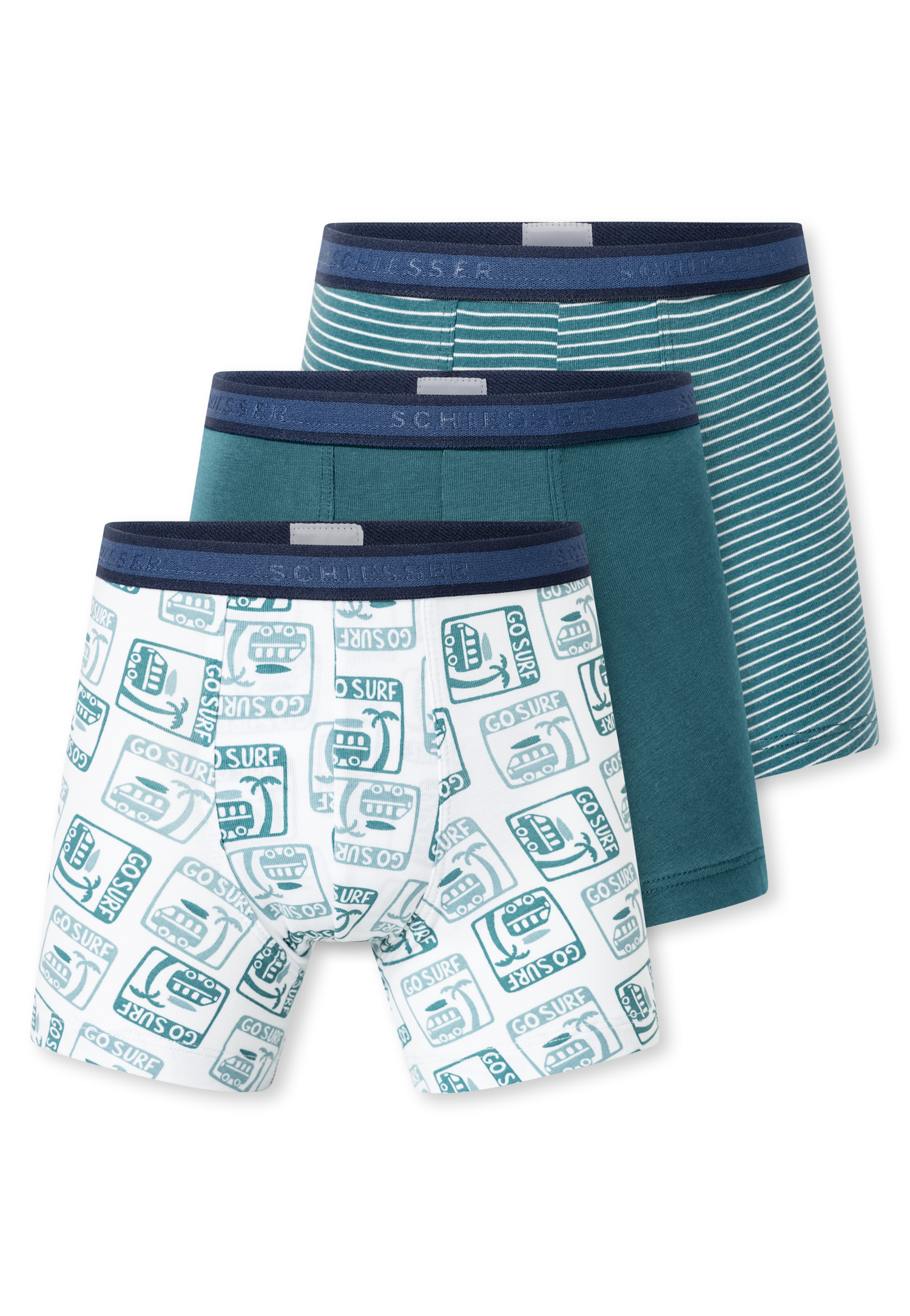 181846-922_detail1.png