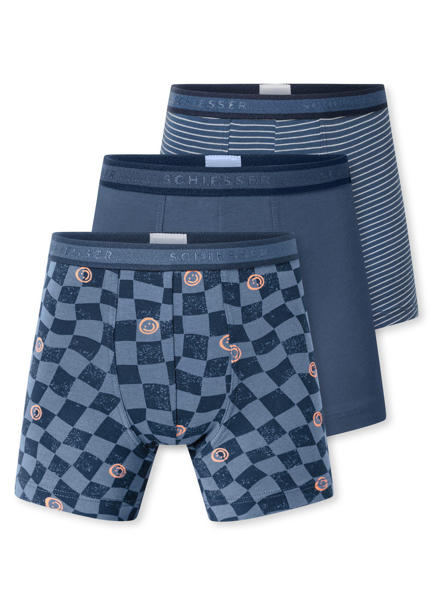 181846-923_detail1.png
