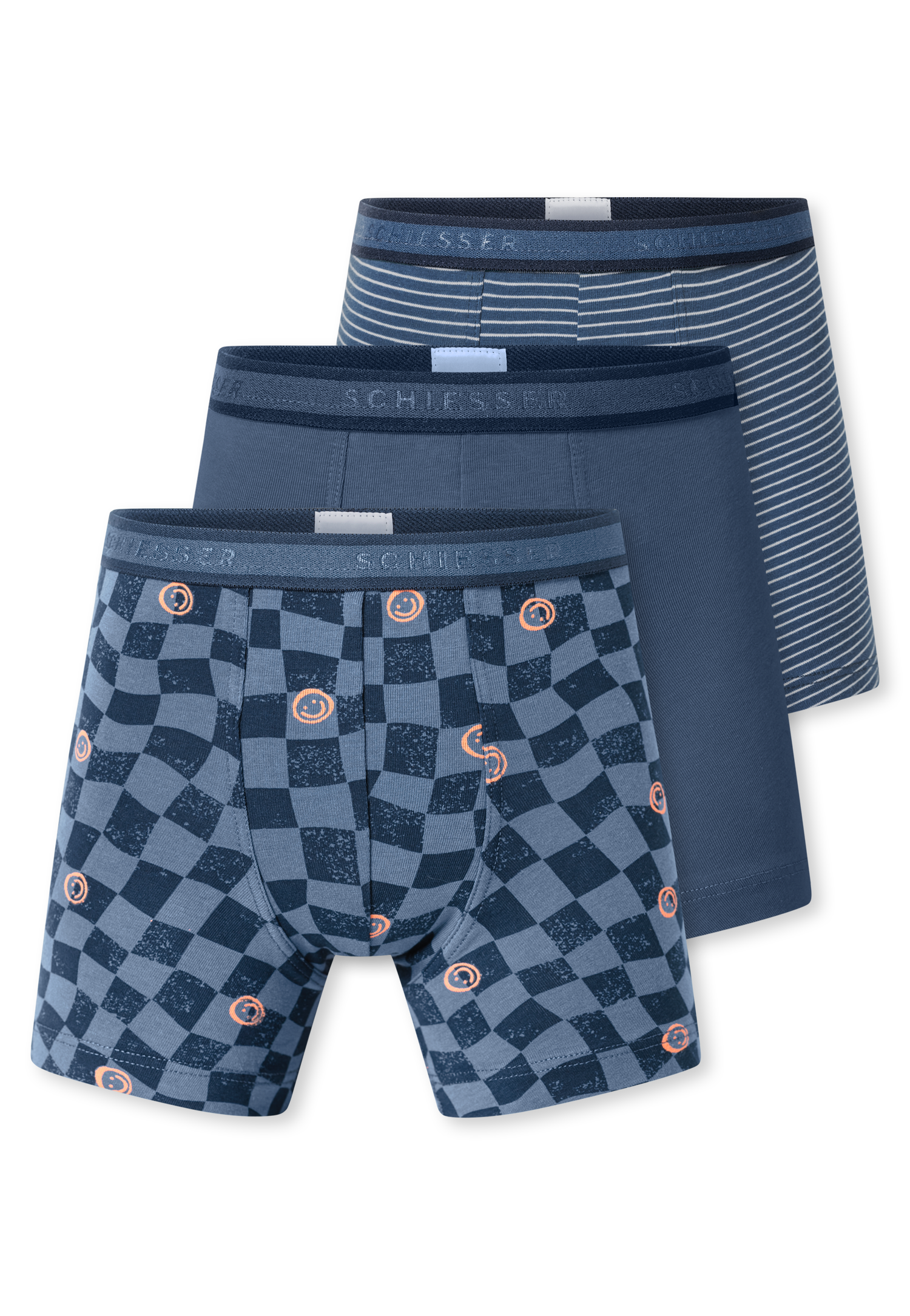 181846-923_detail1.png