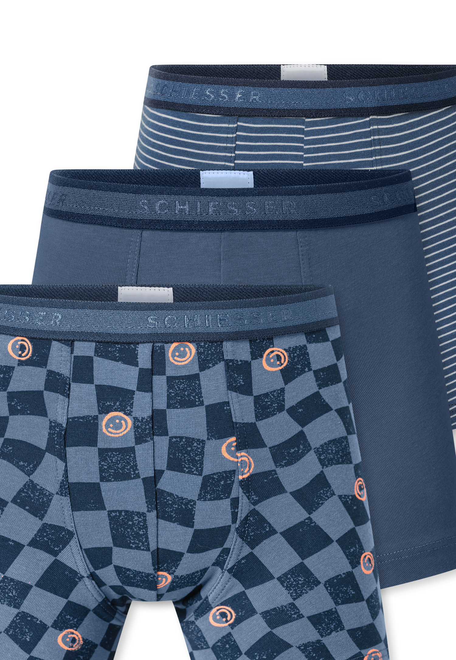 181846-923_detail3.png