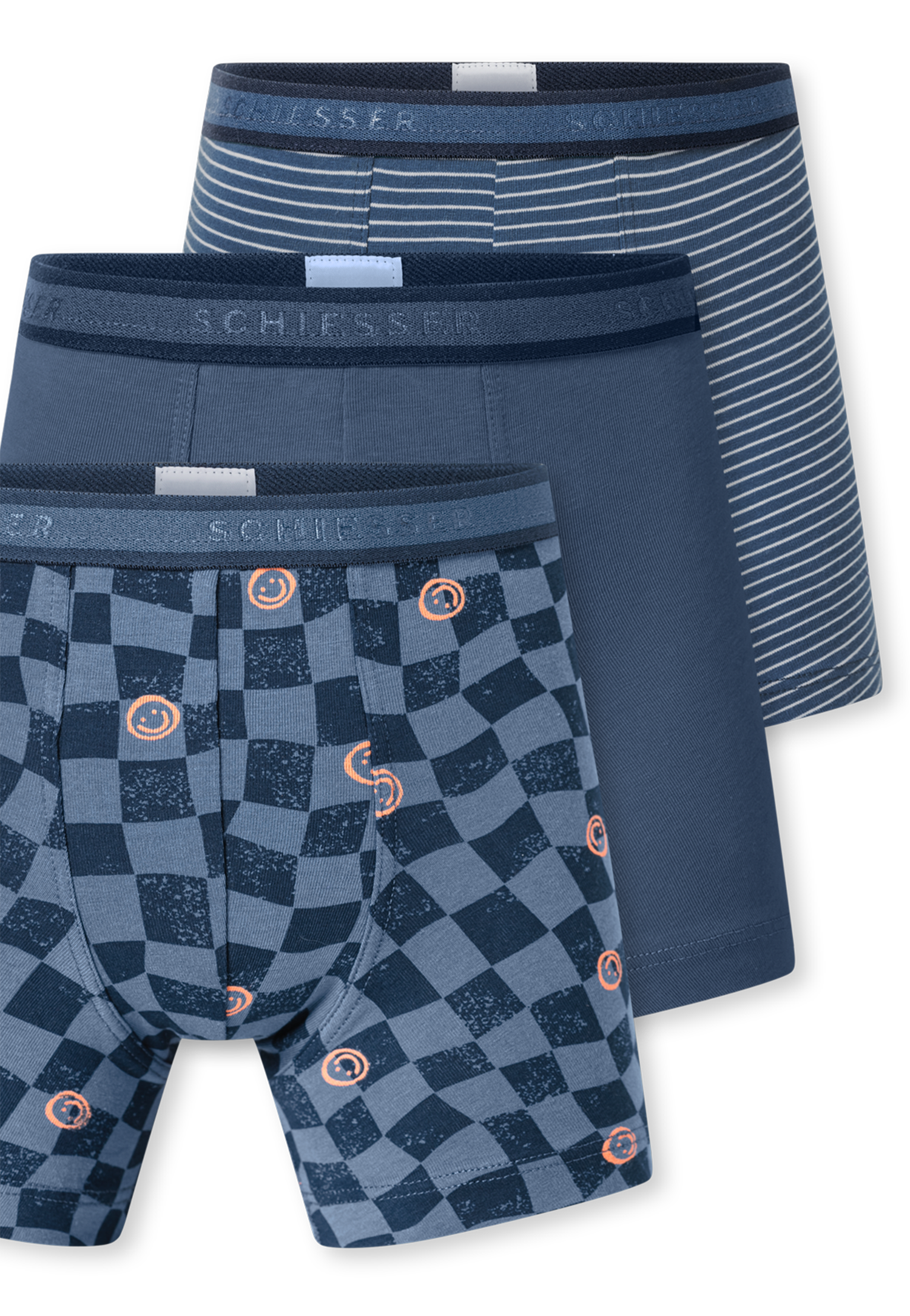 181846-923_detail4.png