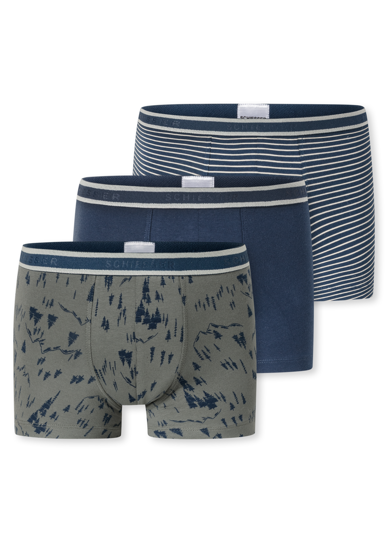 181846-926_detail1.png