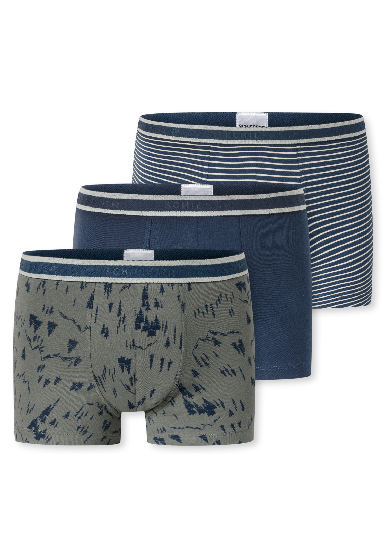 181846-926_detail1.png