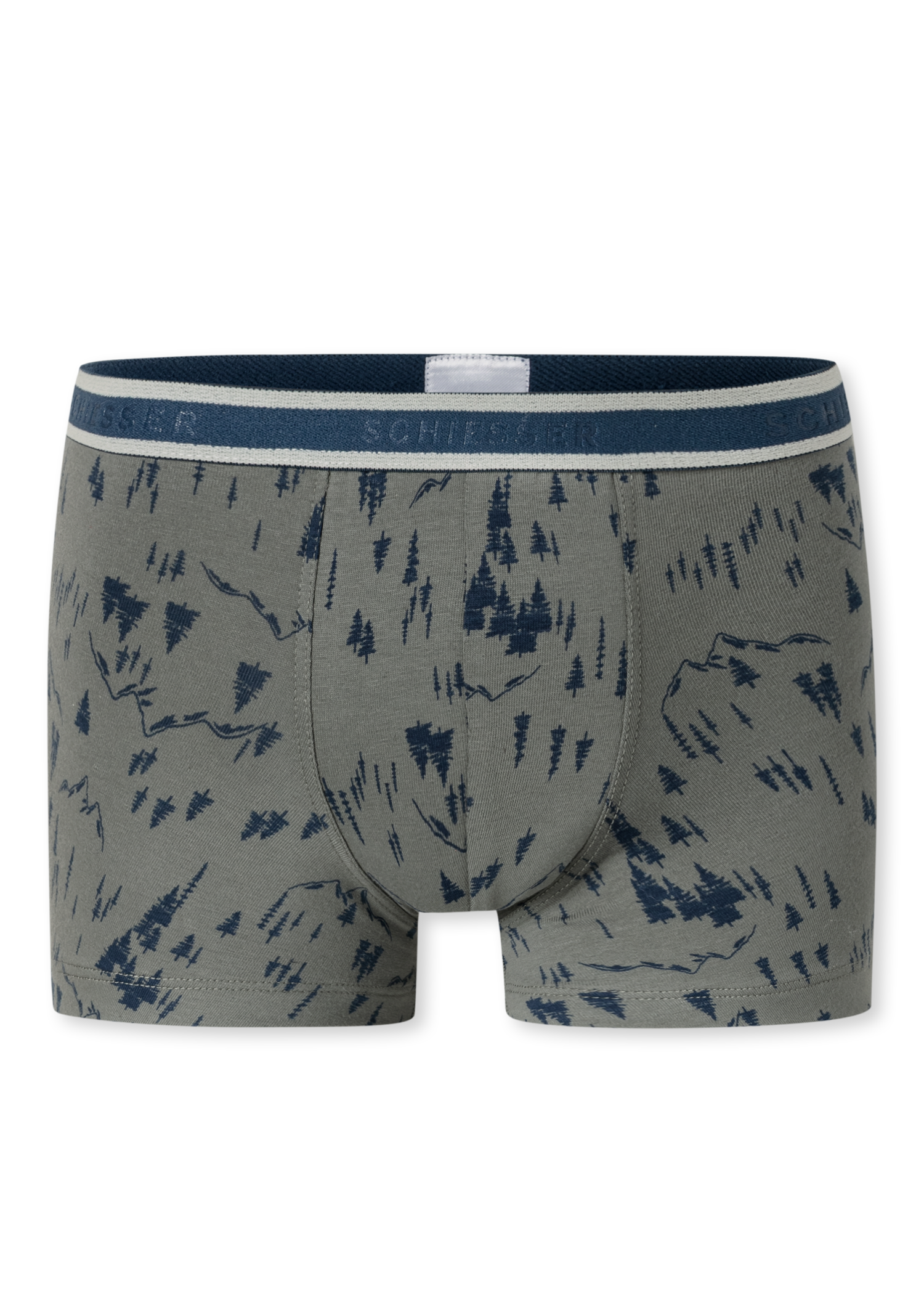 181846-926_detail2.png
