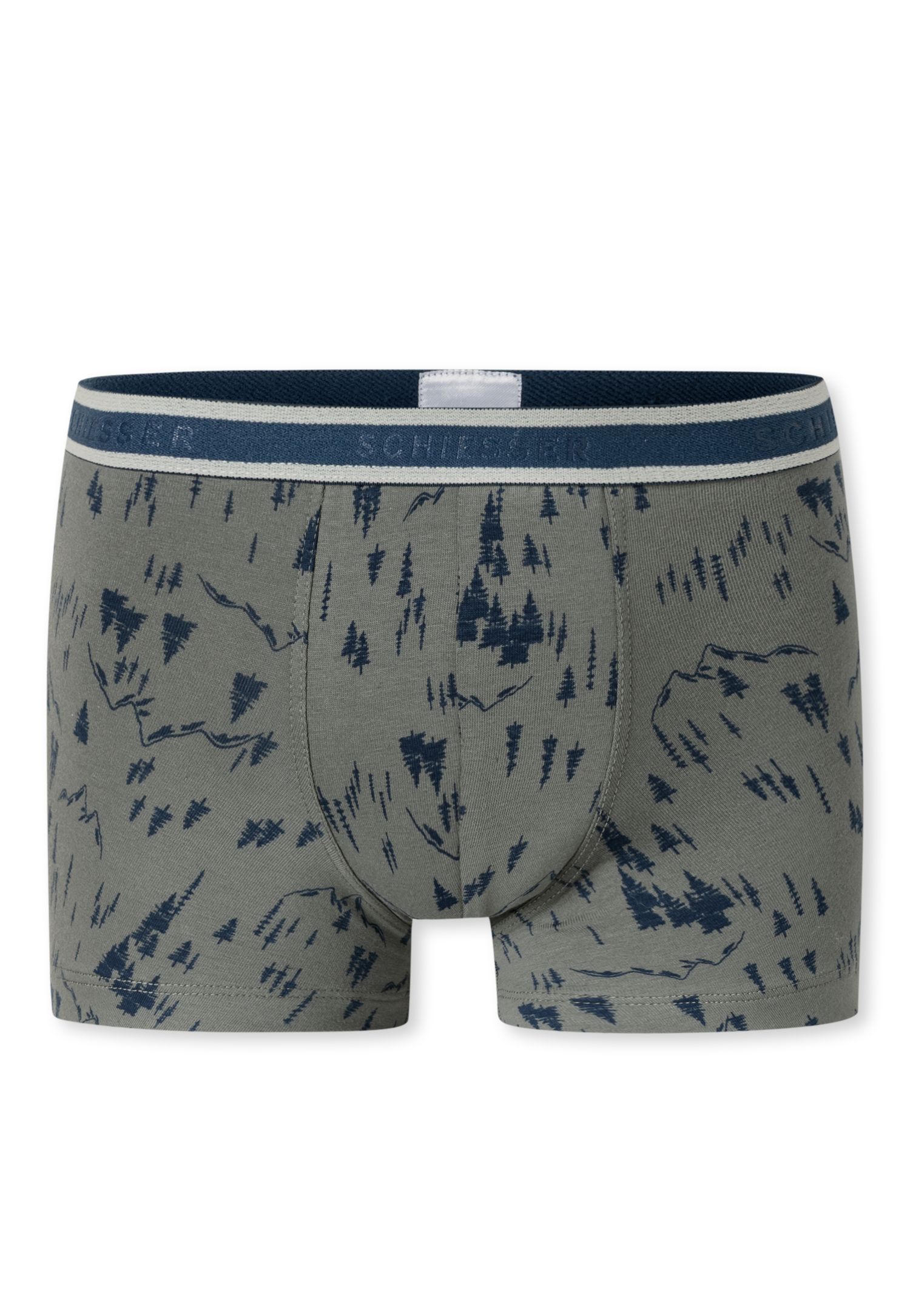 181846-926_detail2.png