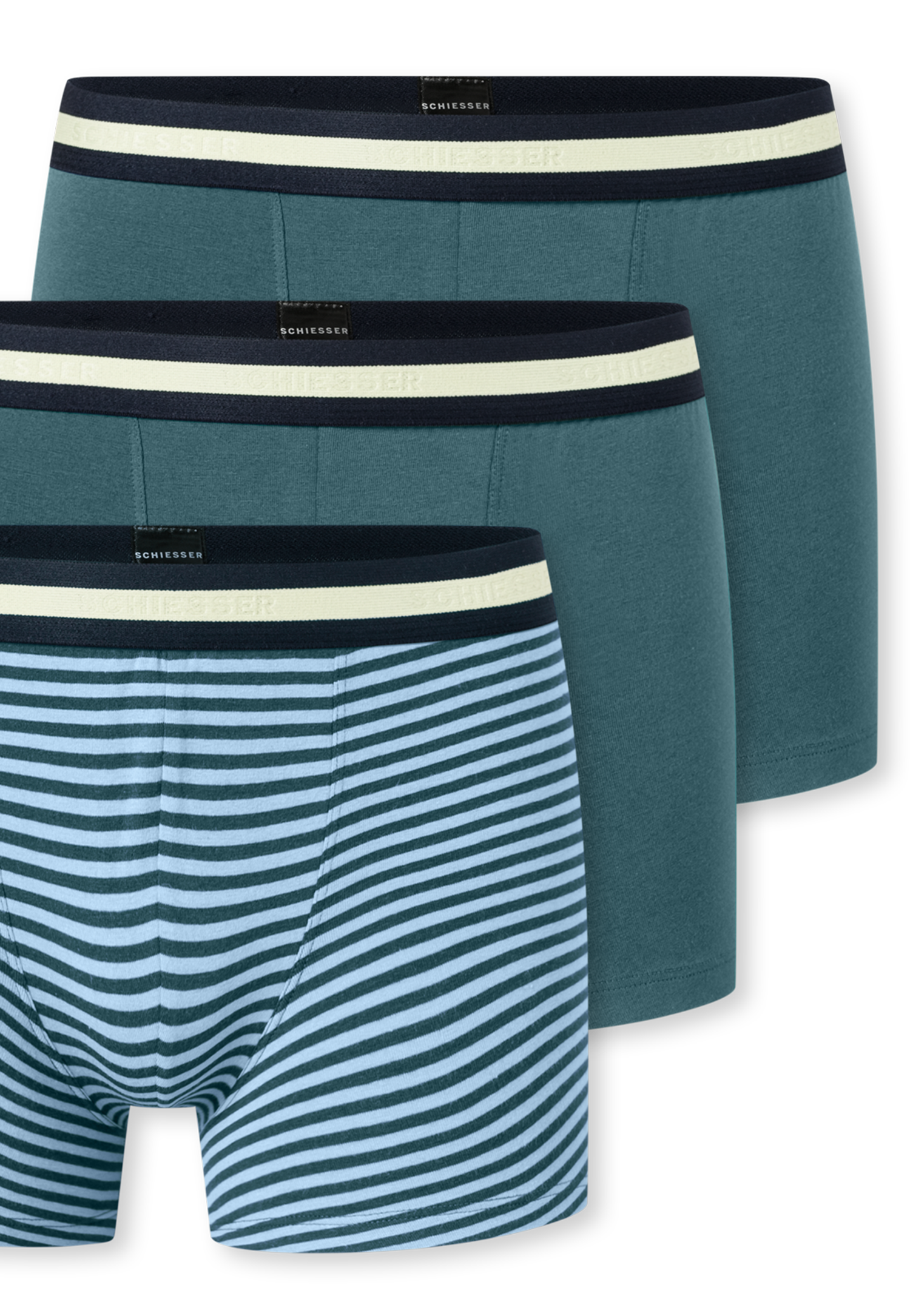 181956-920_detail4.png