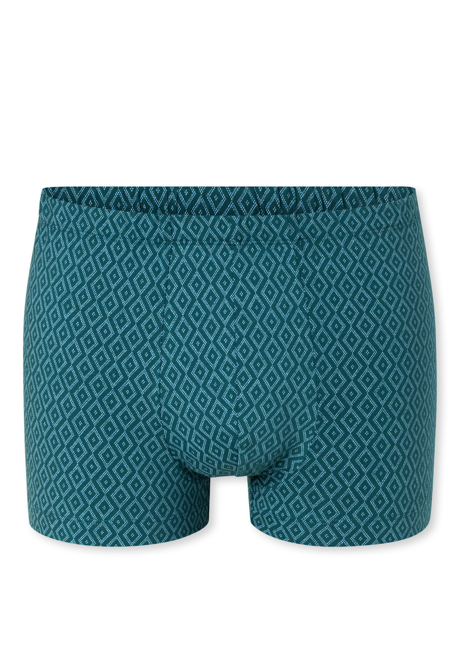 182309-700_detail1.png
