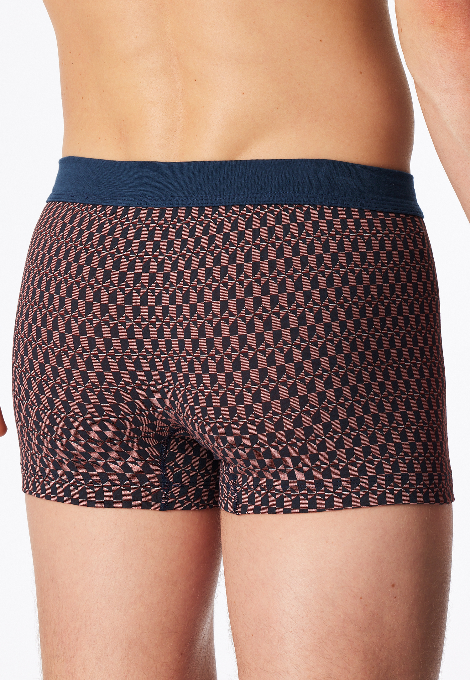 182311-500_back.png