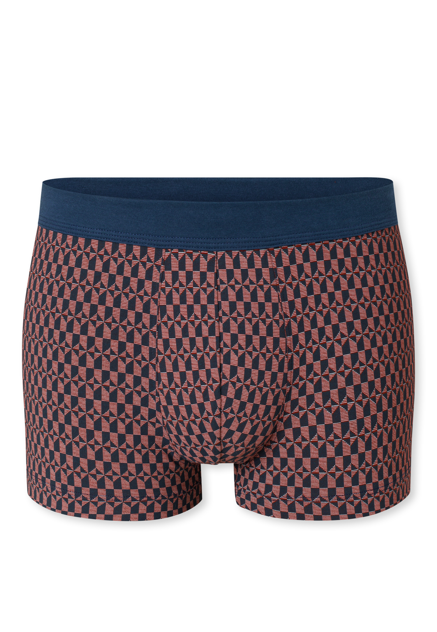 182311-500_detail1.png
