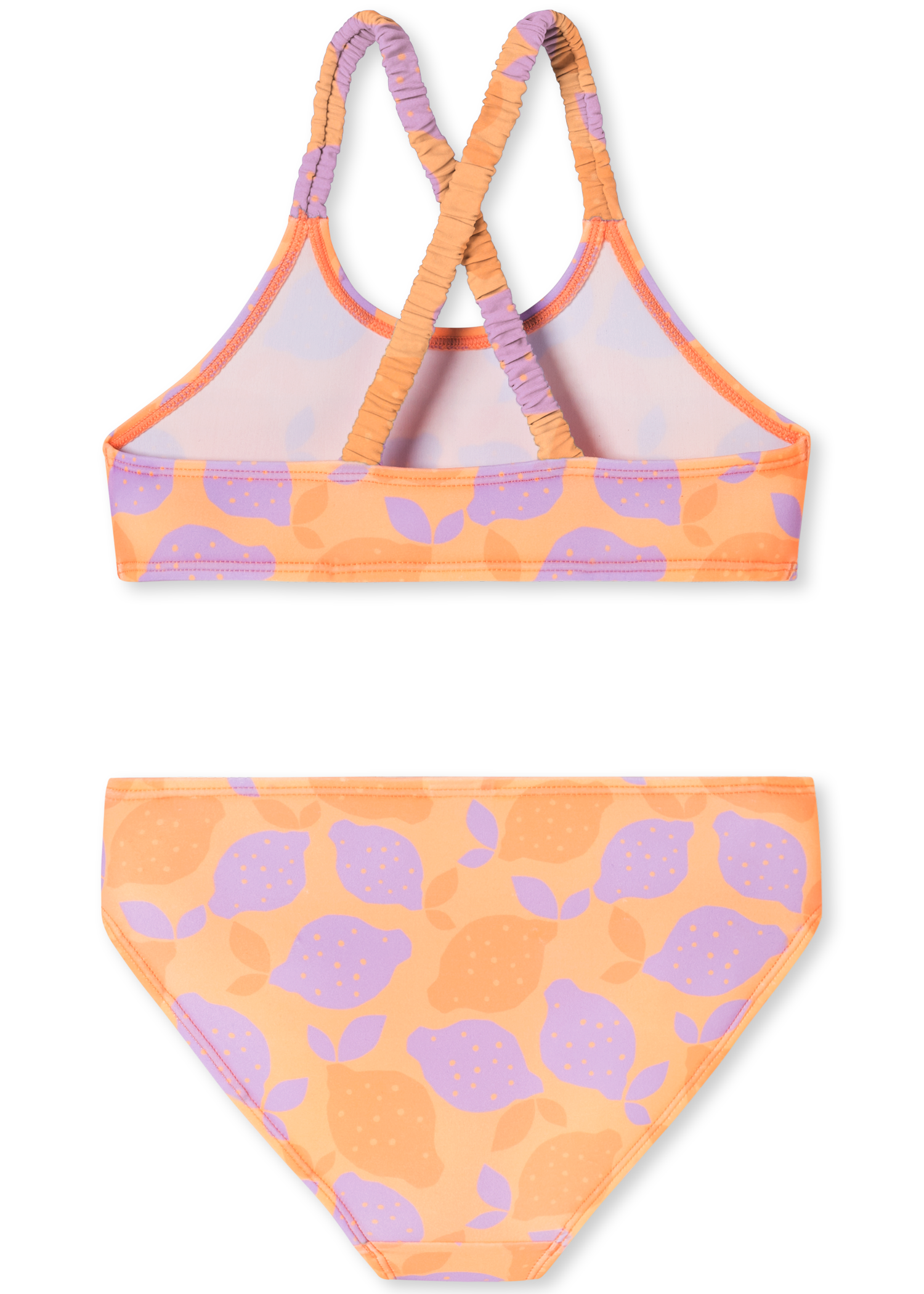 182729-699_detail2.png