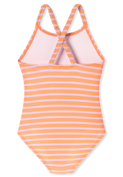 182733-501_detail2.png