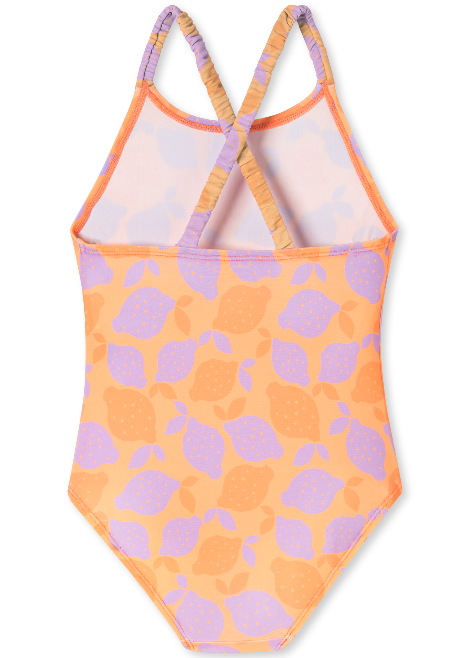 182733-699_detail2.png