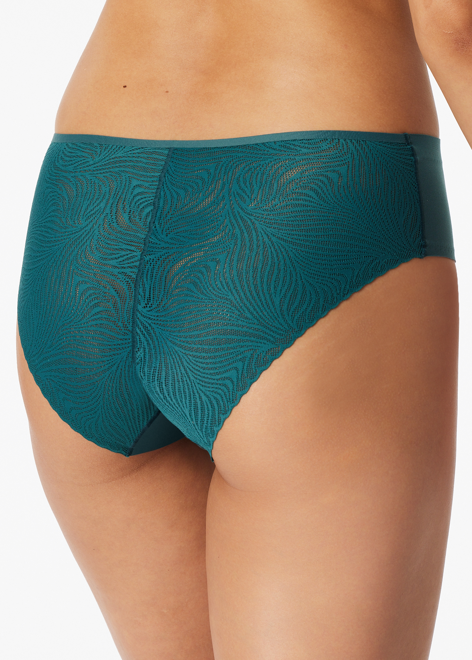 183102-700_back.png