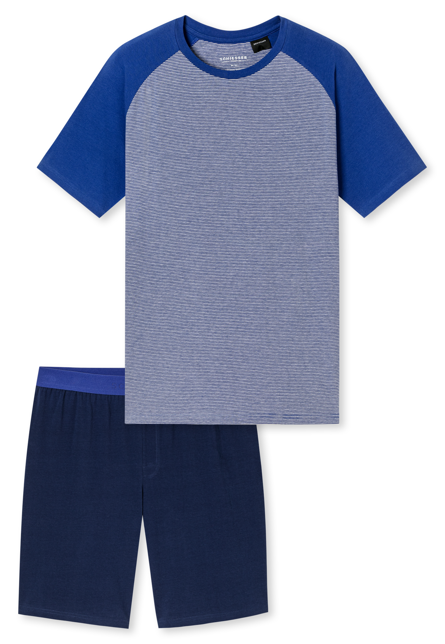 183584-819_detail1.png