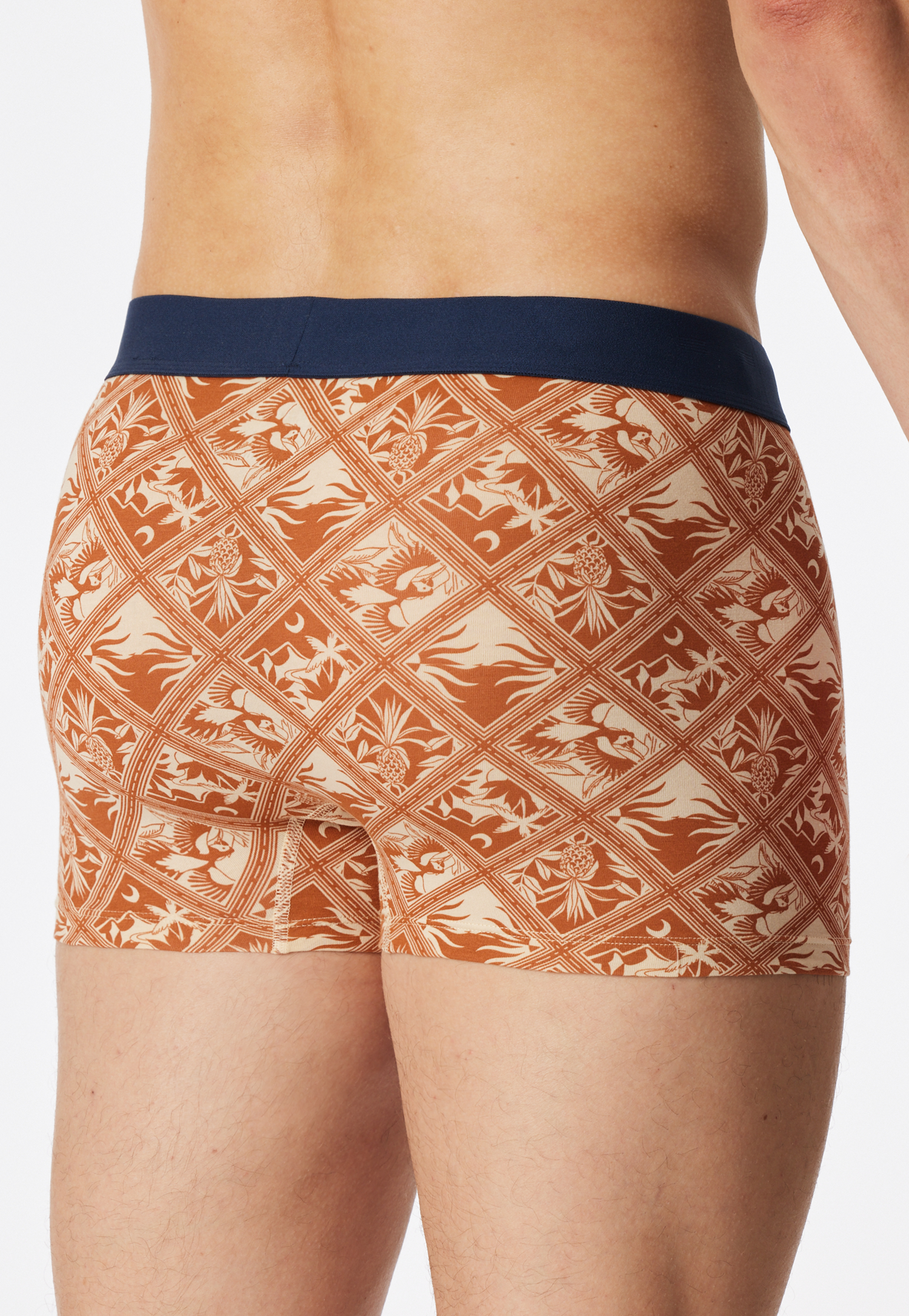 183635-604_back.png