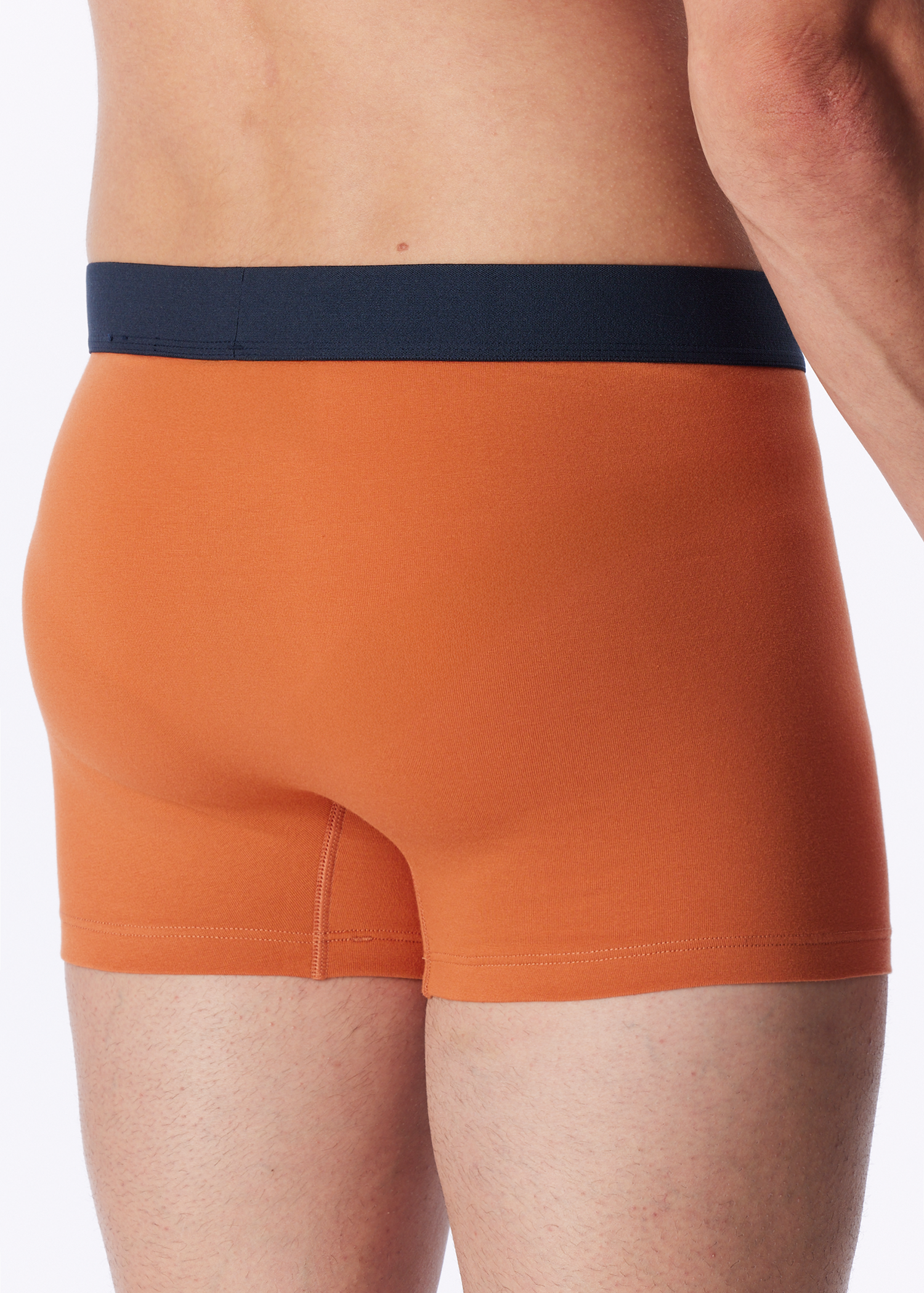 183636-625_back.png