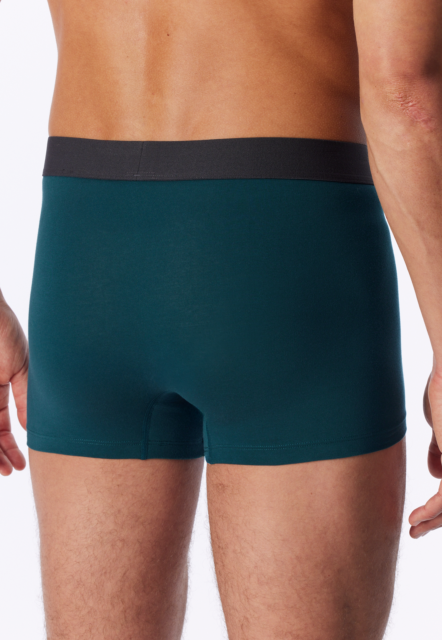 183636-725_back.png
