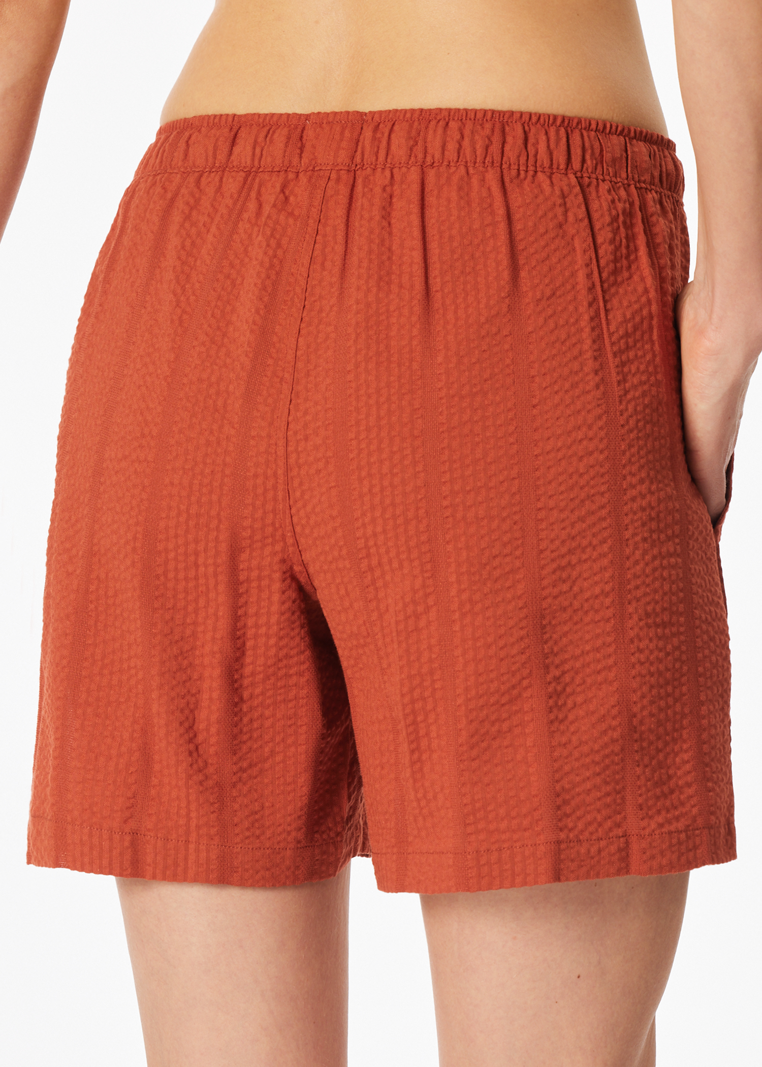 183666-532_back.png