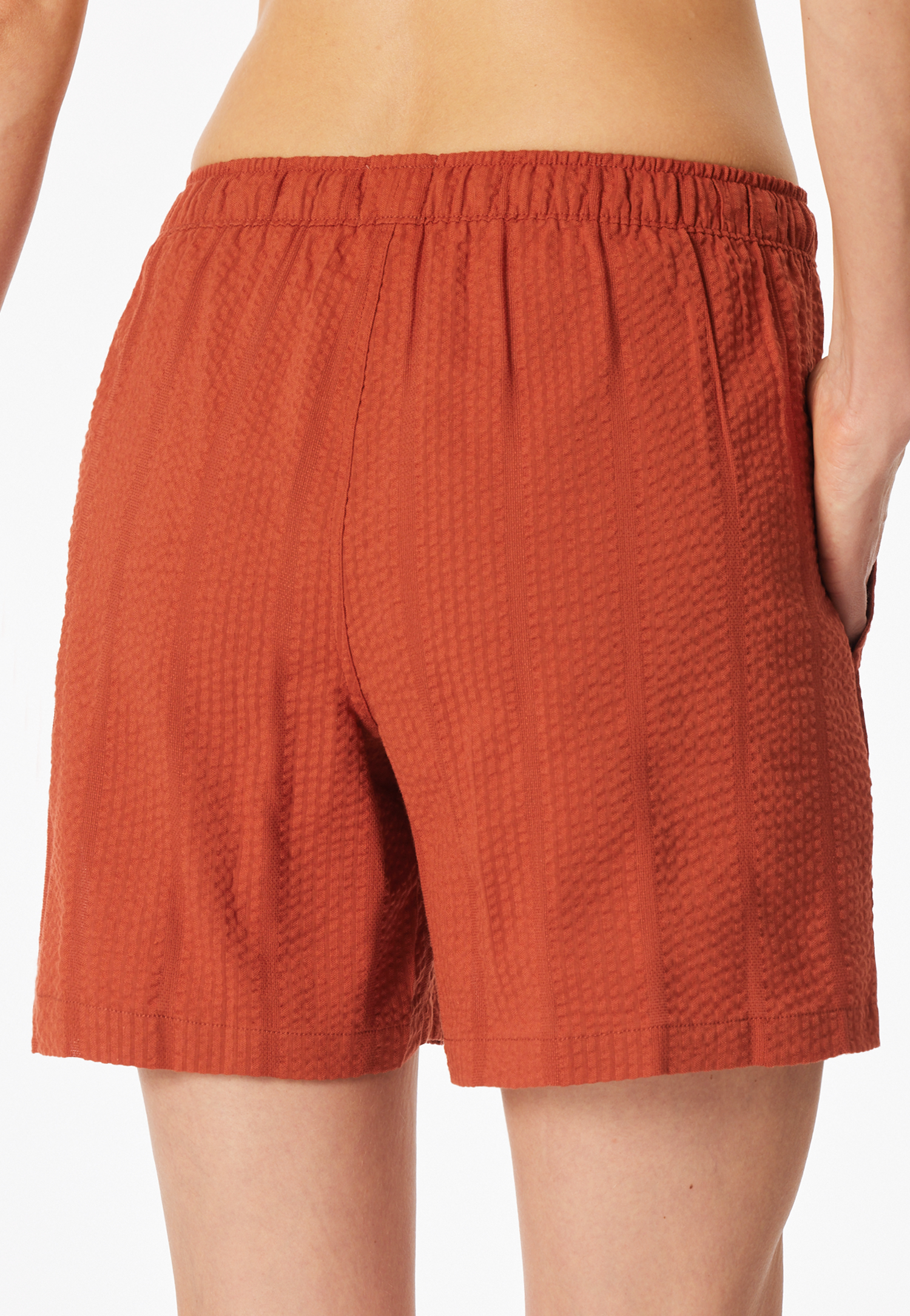183666-532_back.png