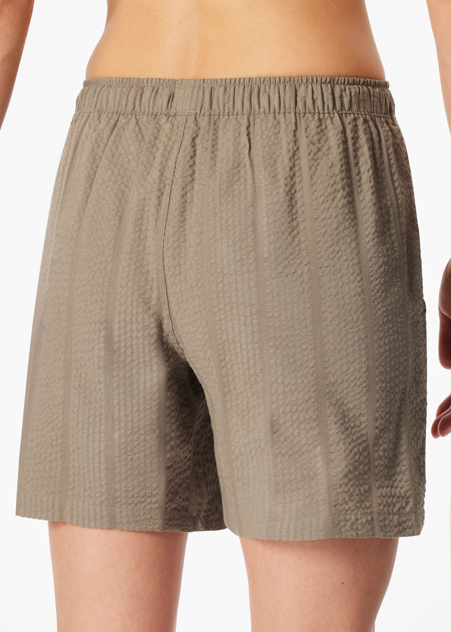 183666-713_back.png