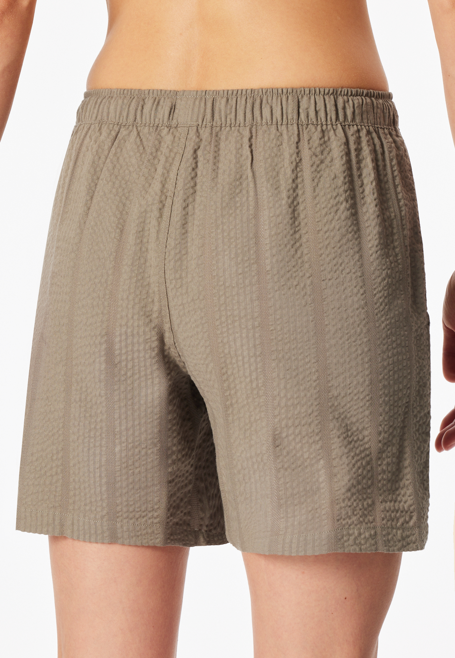 183666-713_back.png