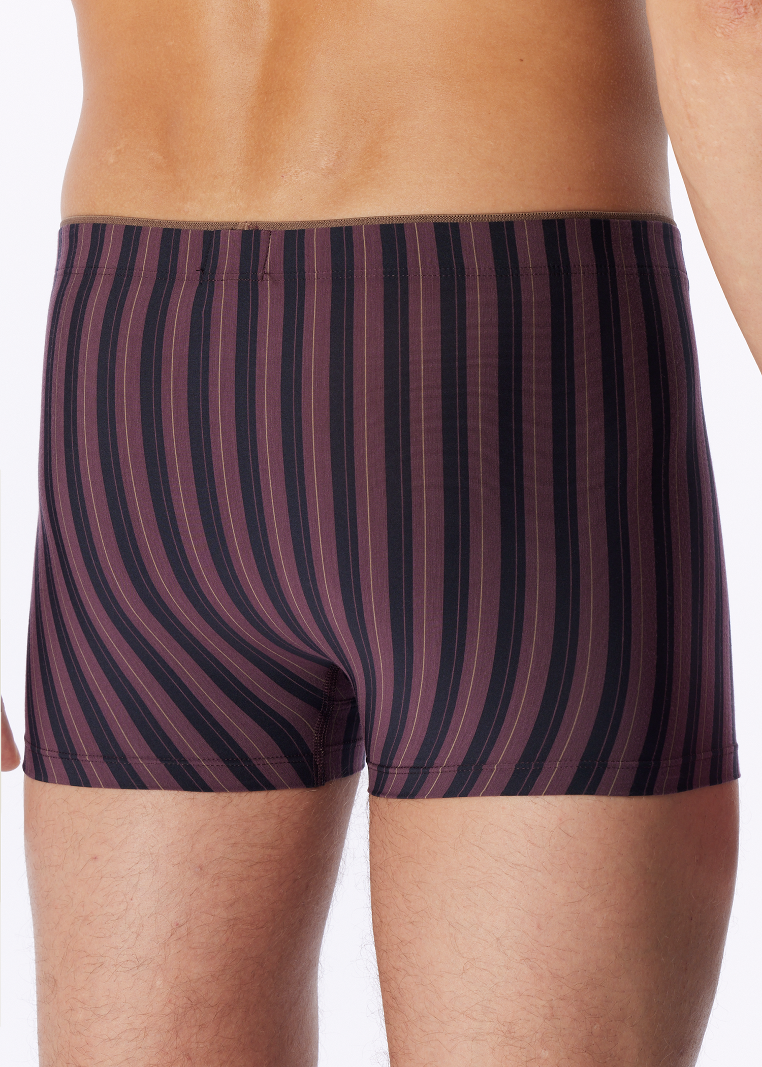 183986-325_back.png