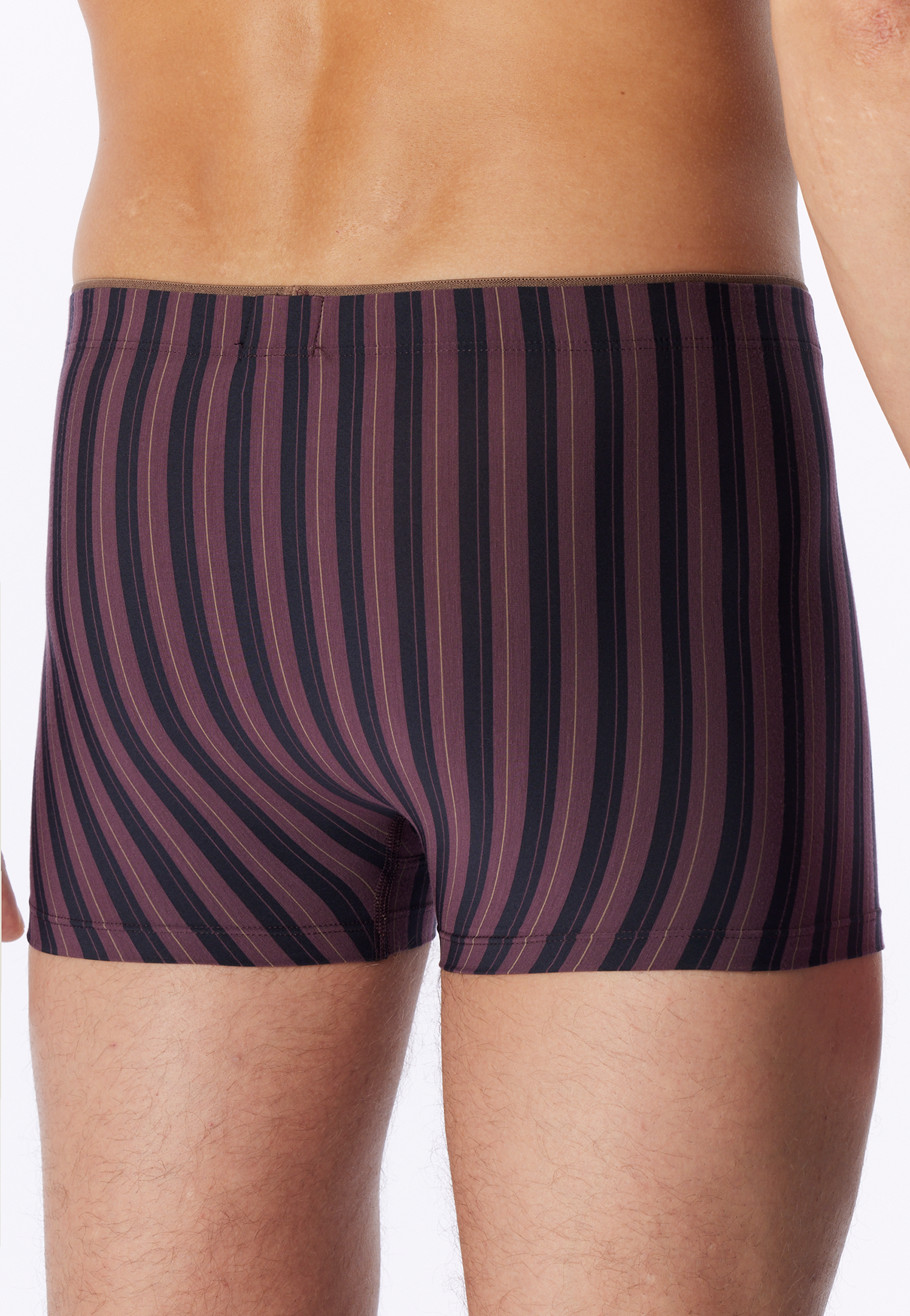 183986-325_back.png