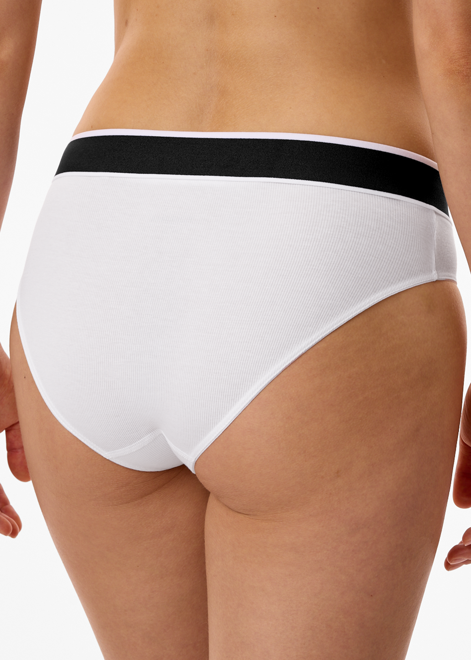 184221-100_back.png
