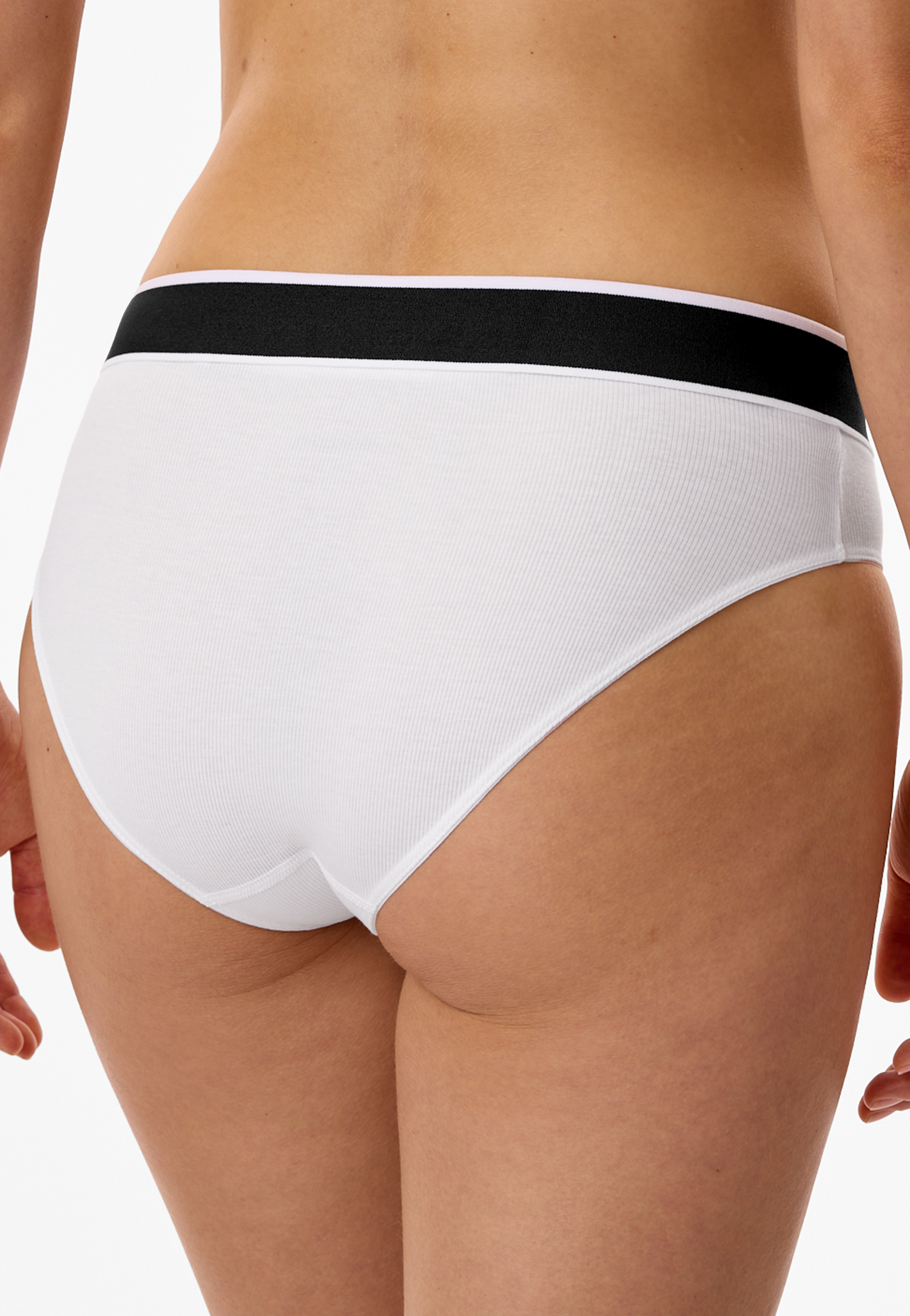 184221-100_back.png
